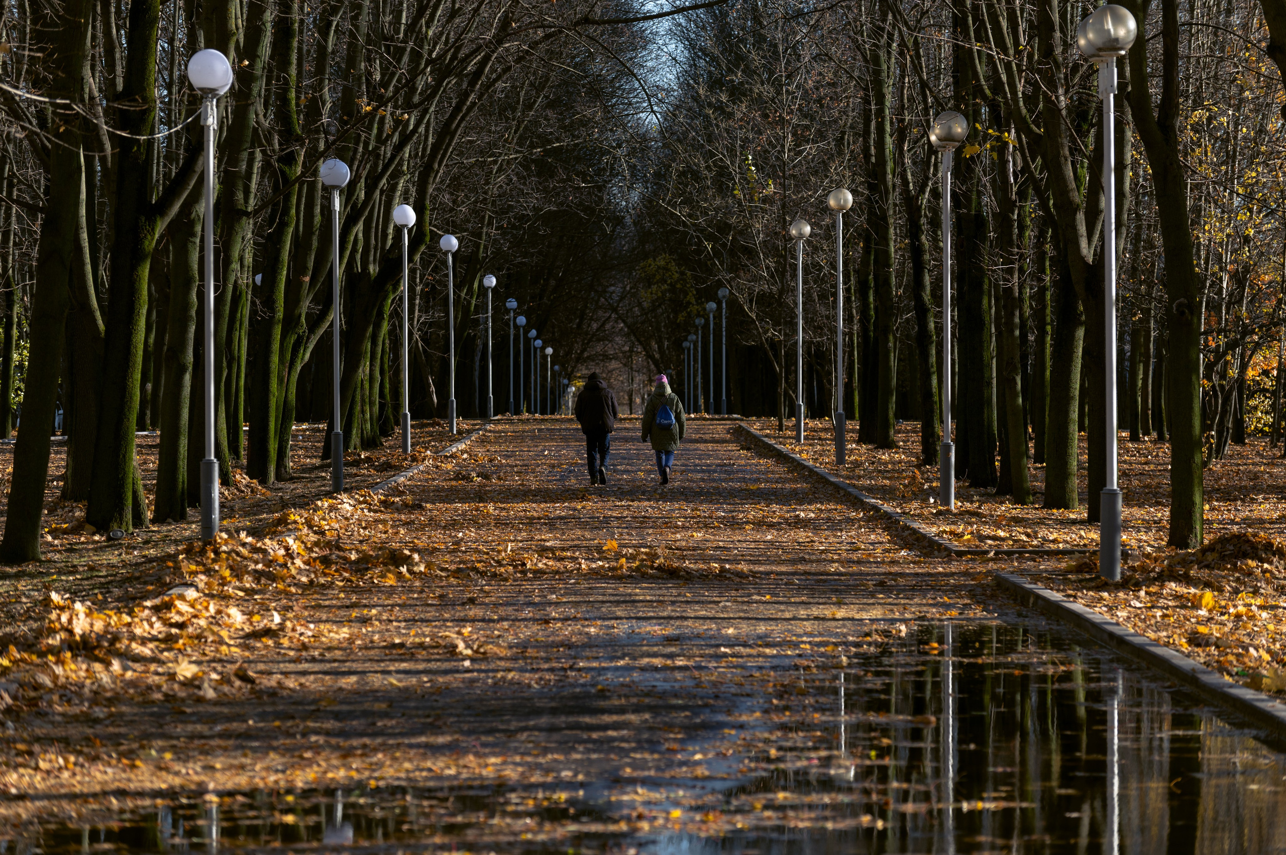 20241102 МГУ. Дмитрий Ремизов. Фотография, как хобби