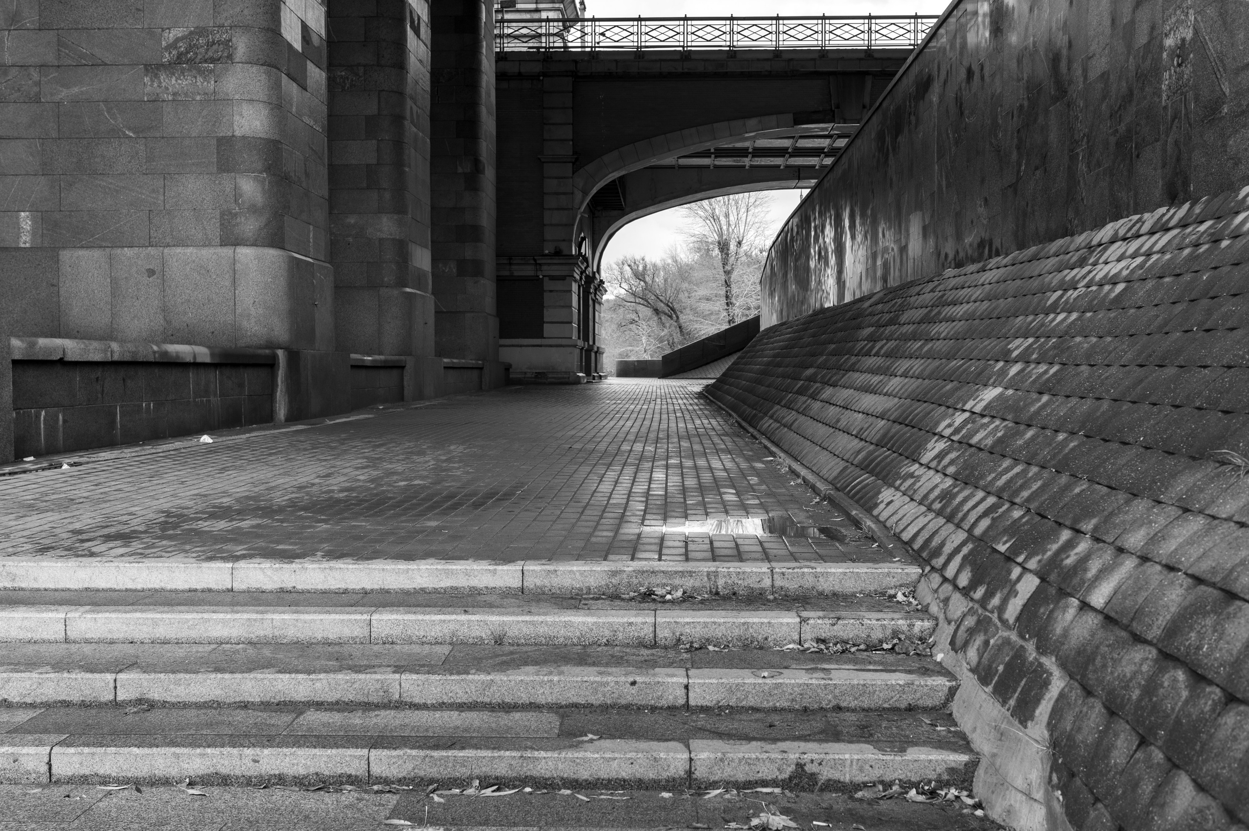 20231031 Нескучный сад. Дмитрий Ремизов. Фотография, как хобби