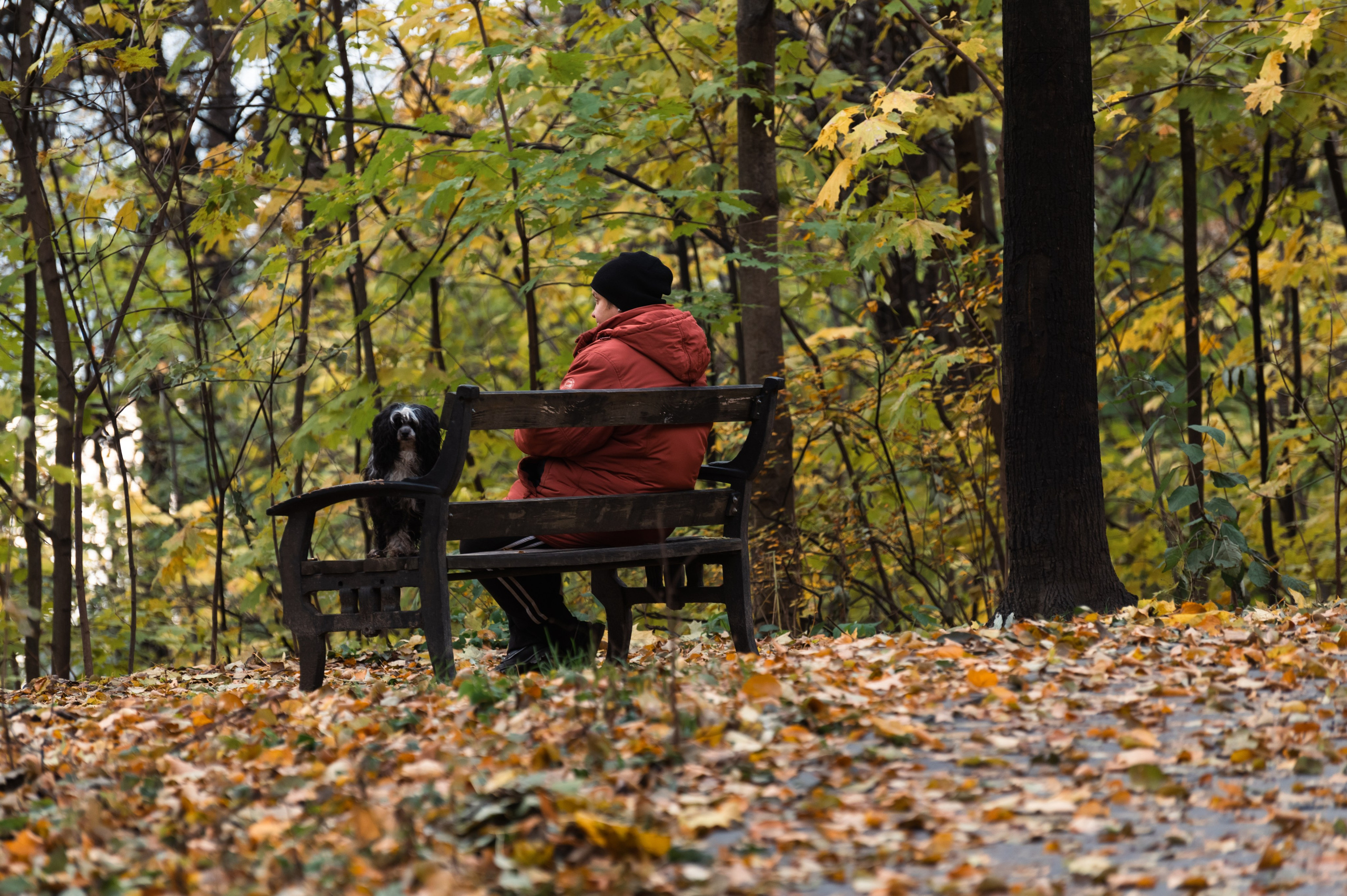 20231031 Нескучный сад. Дмитрий Ремизов. Фотография, как хобби