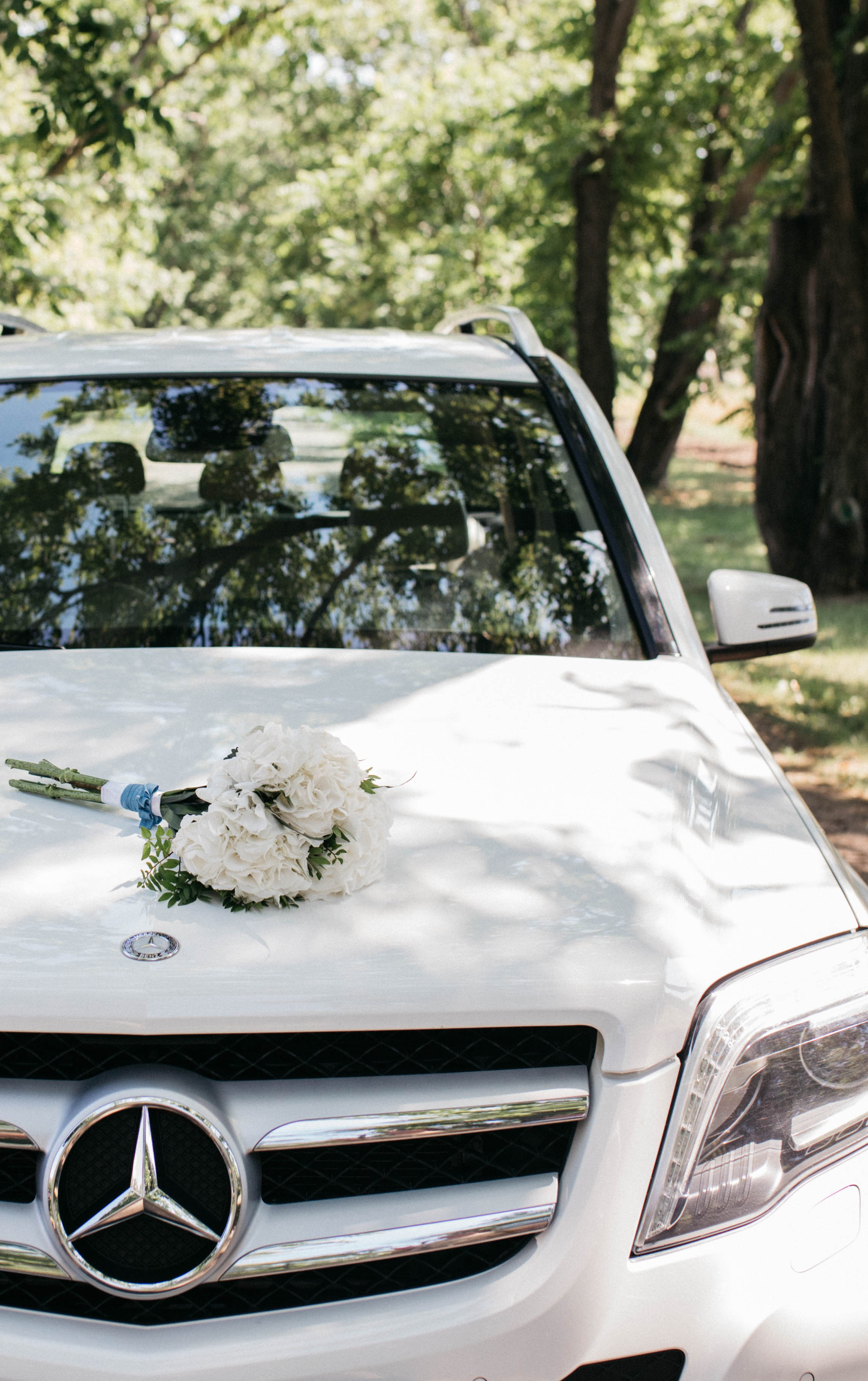 Дмитрий и Дарья. Фотограф Барнаул Полина Теплова