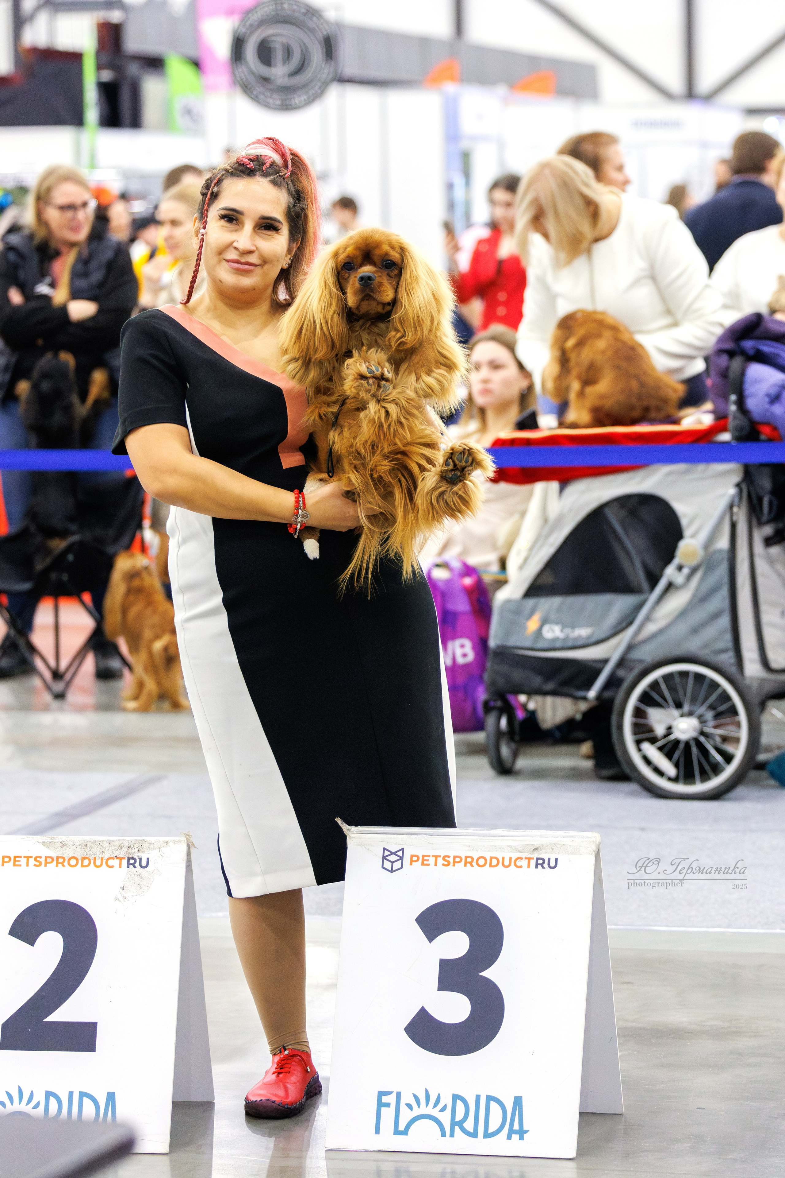 Питер 12-13.12.2025. Фотограф-анималист Юлия Германика