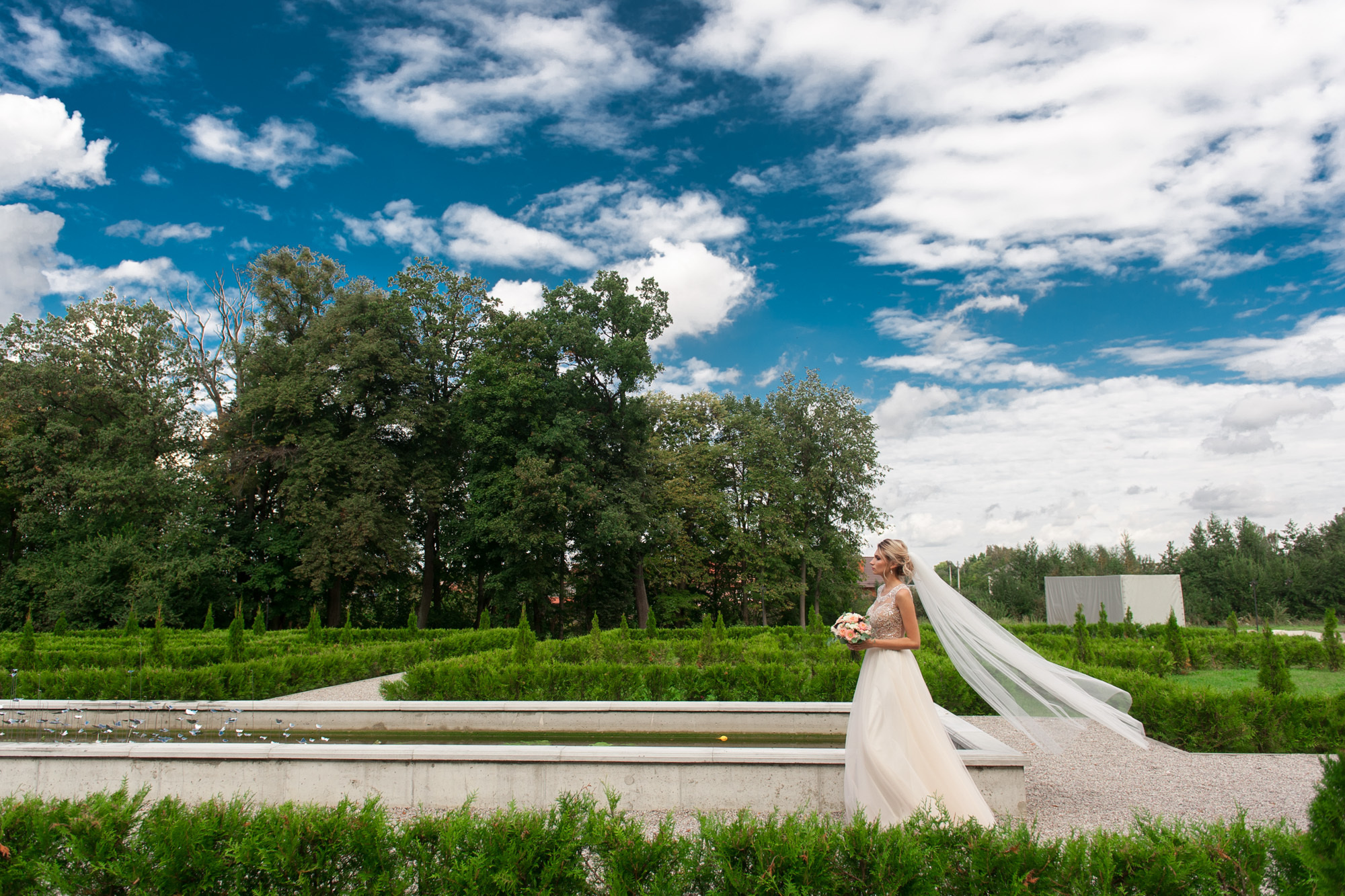 Портфолио свадеб. Свадебный фотограф Калининград - Александр Зубанов