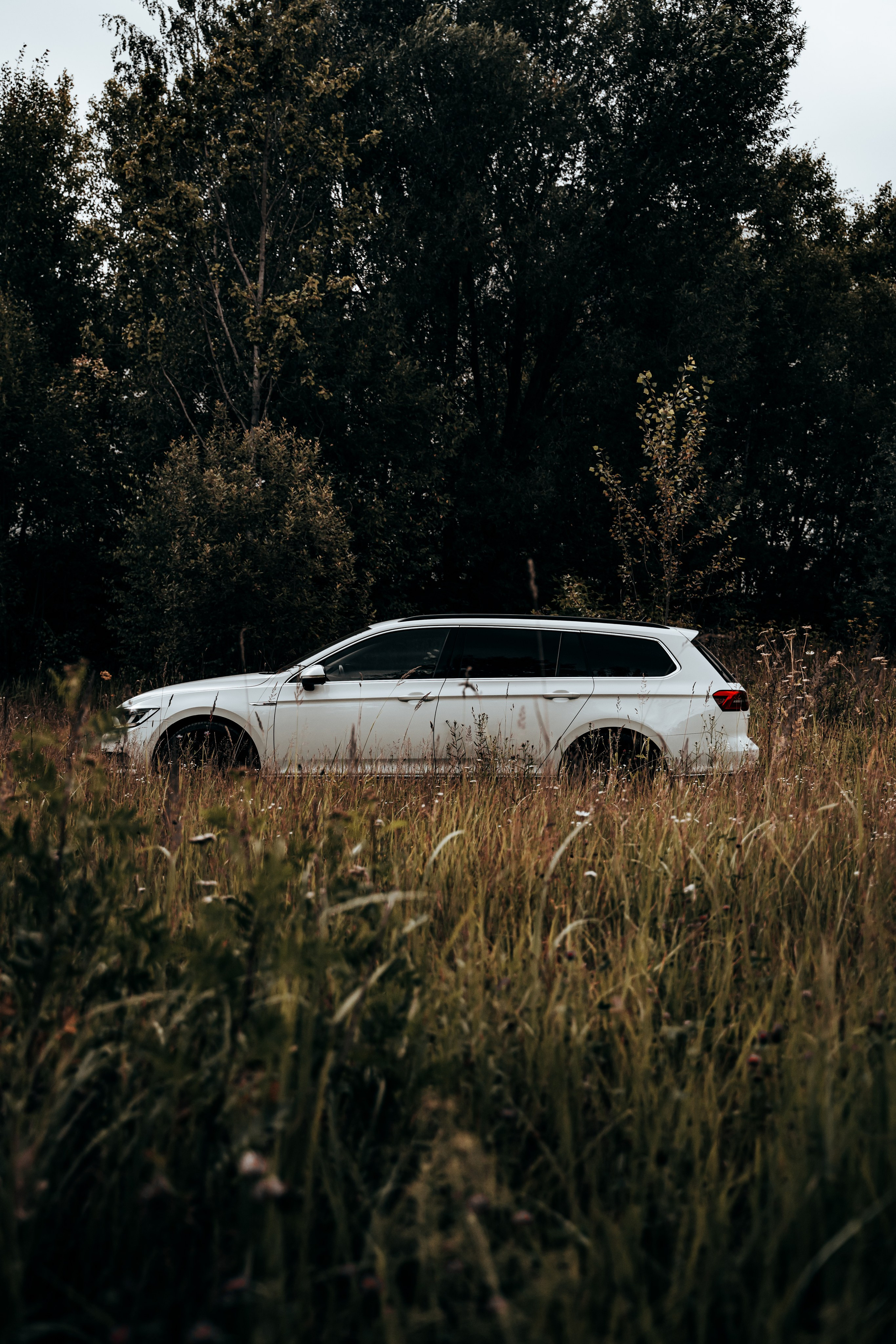 VW Passat B8 Project. Vlad Trykov