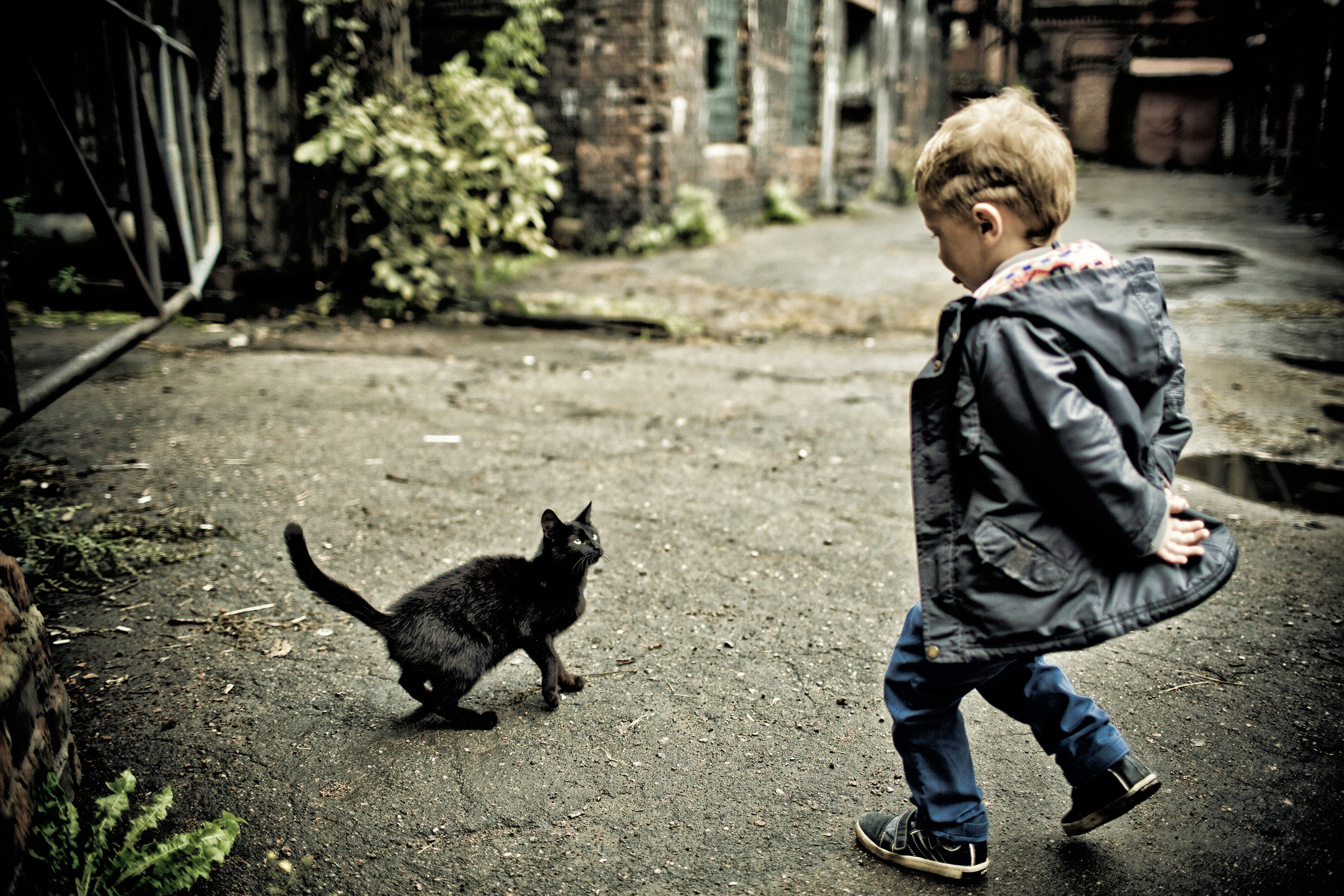 Детский, свадебный и семейный фотограф Юлия Курбатова, Санкт-Петербург