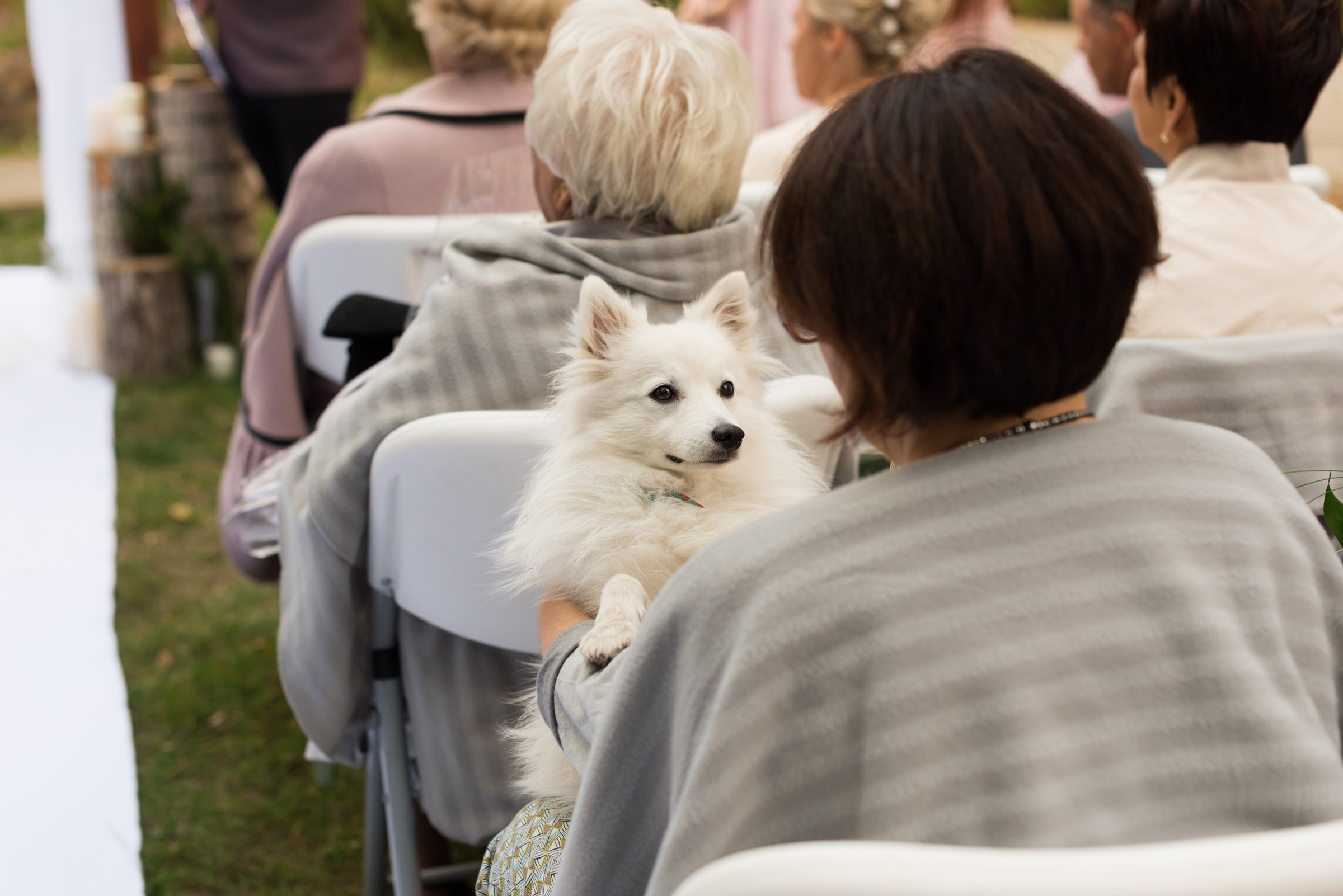 Wedding day. Свадебный фотограф Волгоград Роман Брызгалин и Натали Никитина