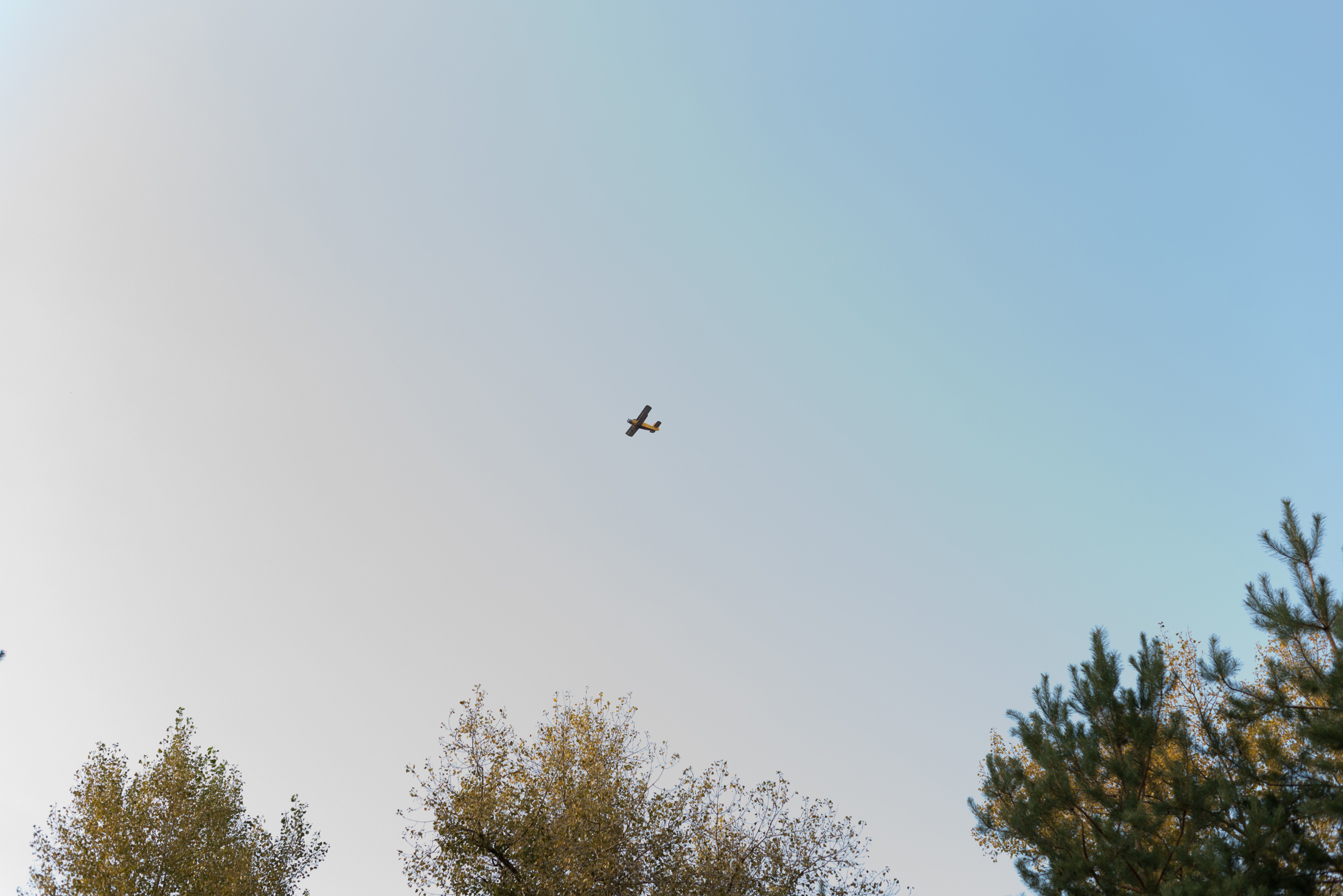 Wedding day. Свадебный фотограф Волгоград Роман Брызгалин и Натали Никитина