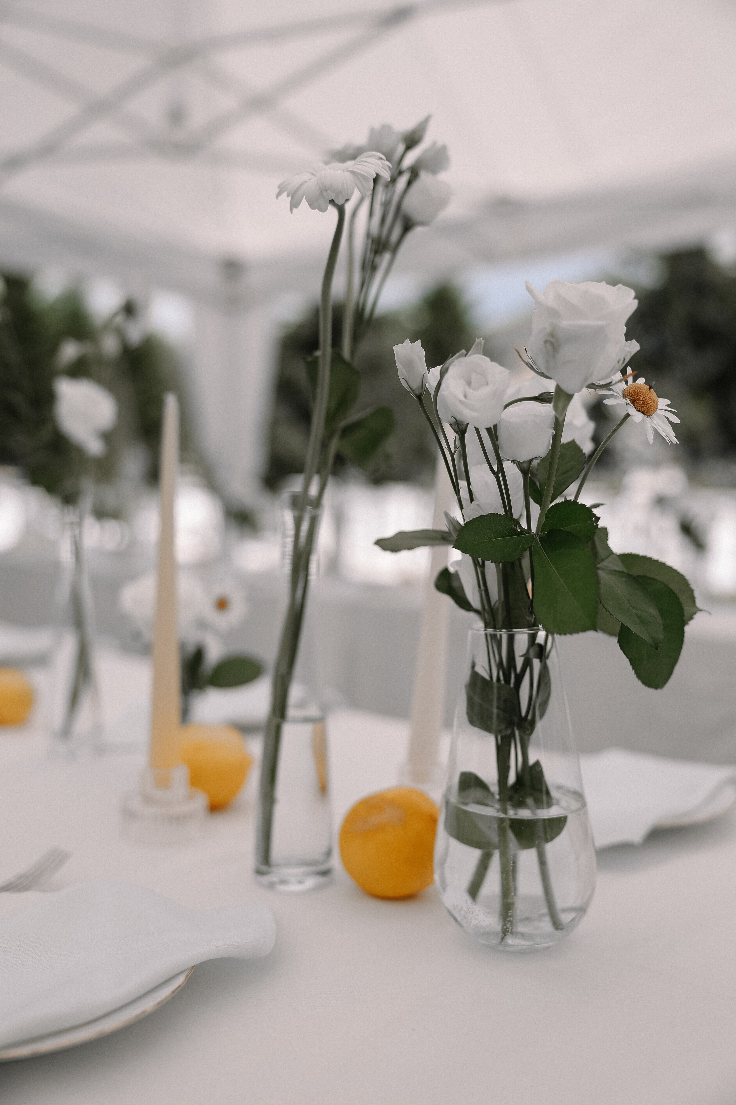 Горько…. Свадебный и семейный Фотограф Денис Кошель