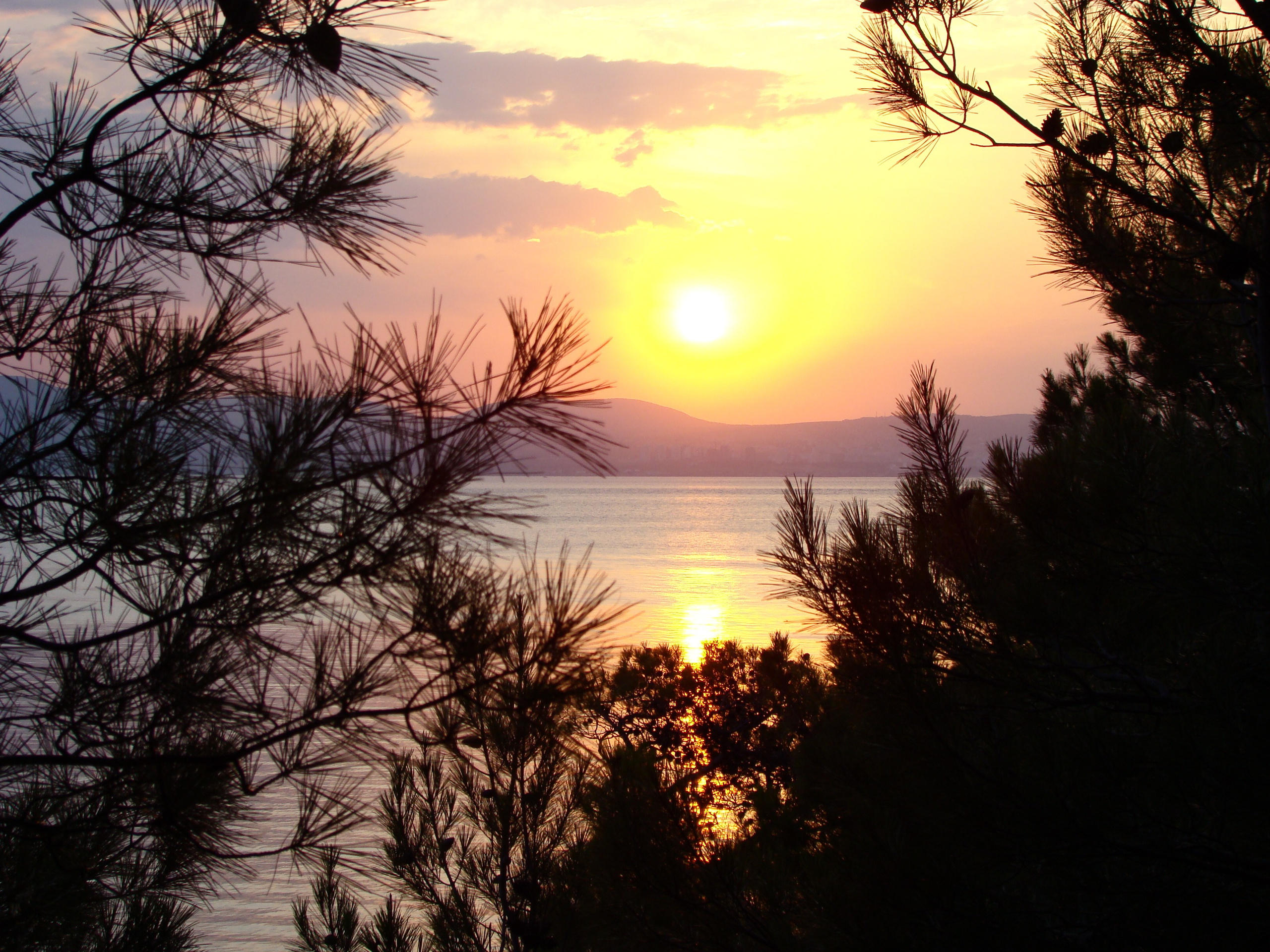 Кабардинка (фото Зевиных) 25.06-24.07.2008. Семейный, Свадебный фотограф СПБ Питер— Романова Екатерина