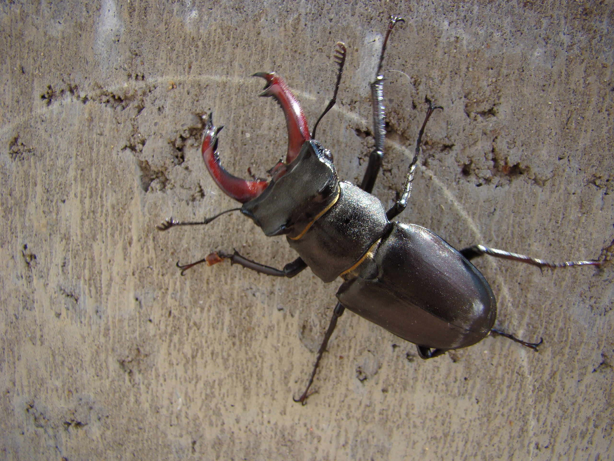 Кабардинка (фото Зевиных) 25.06-24.07.2008. Семейный, Свадебный фотограф СПБ Питер— Романова Екатерина