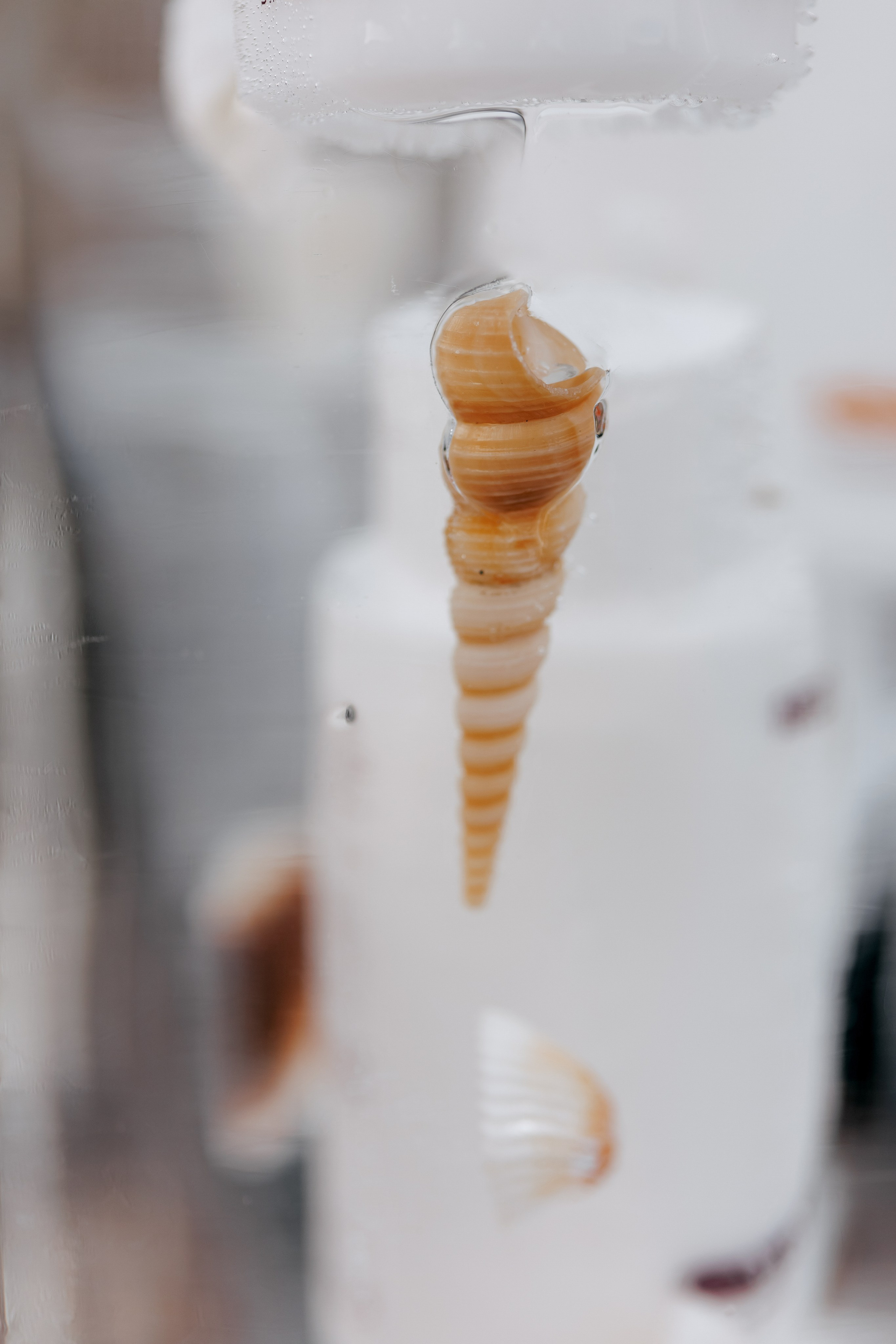 ME2ME. Wedding and Reportage photographer Marmarov Christya