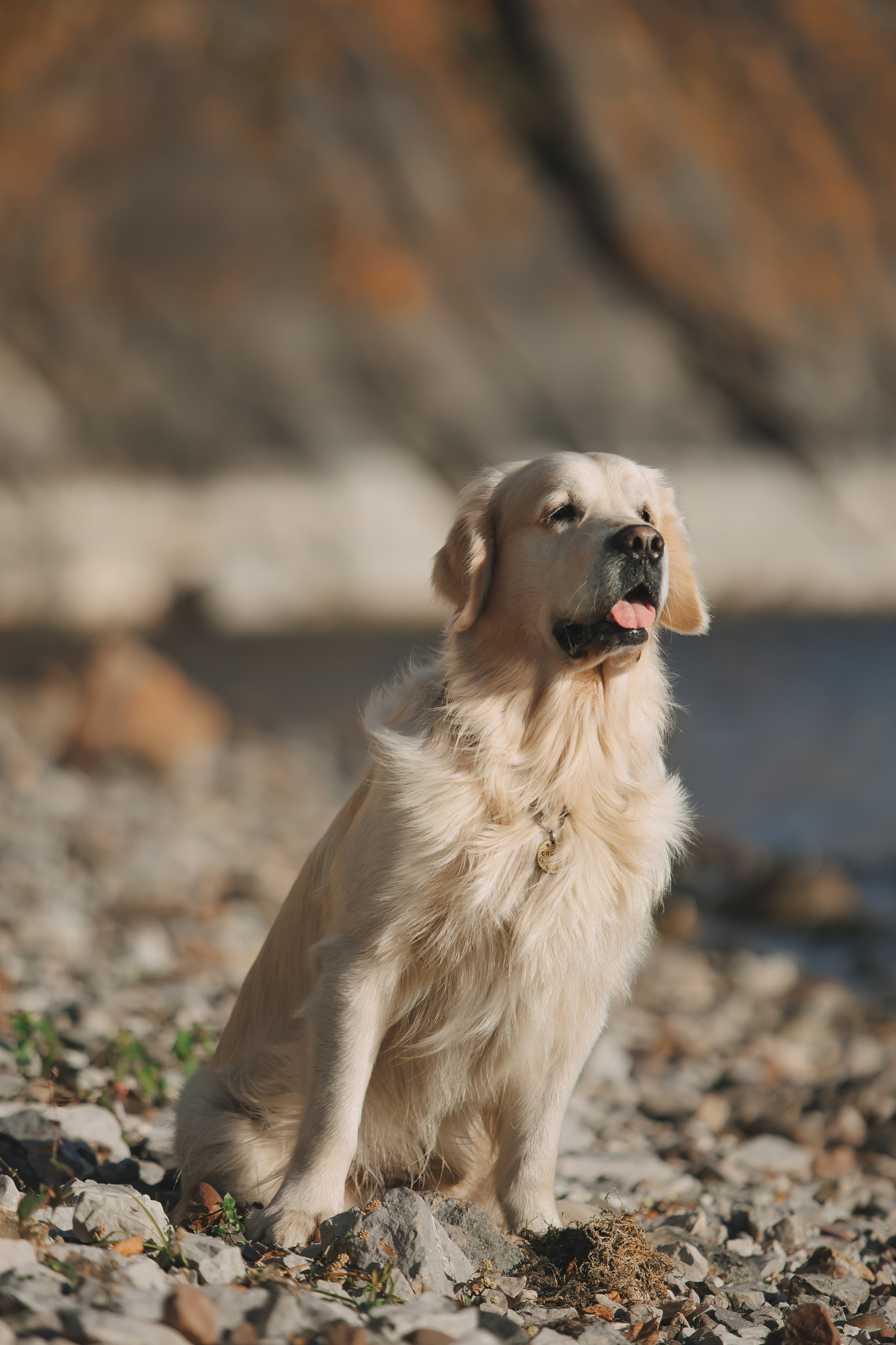 Снежик и Веста. Свадебный и женский фотограф