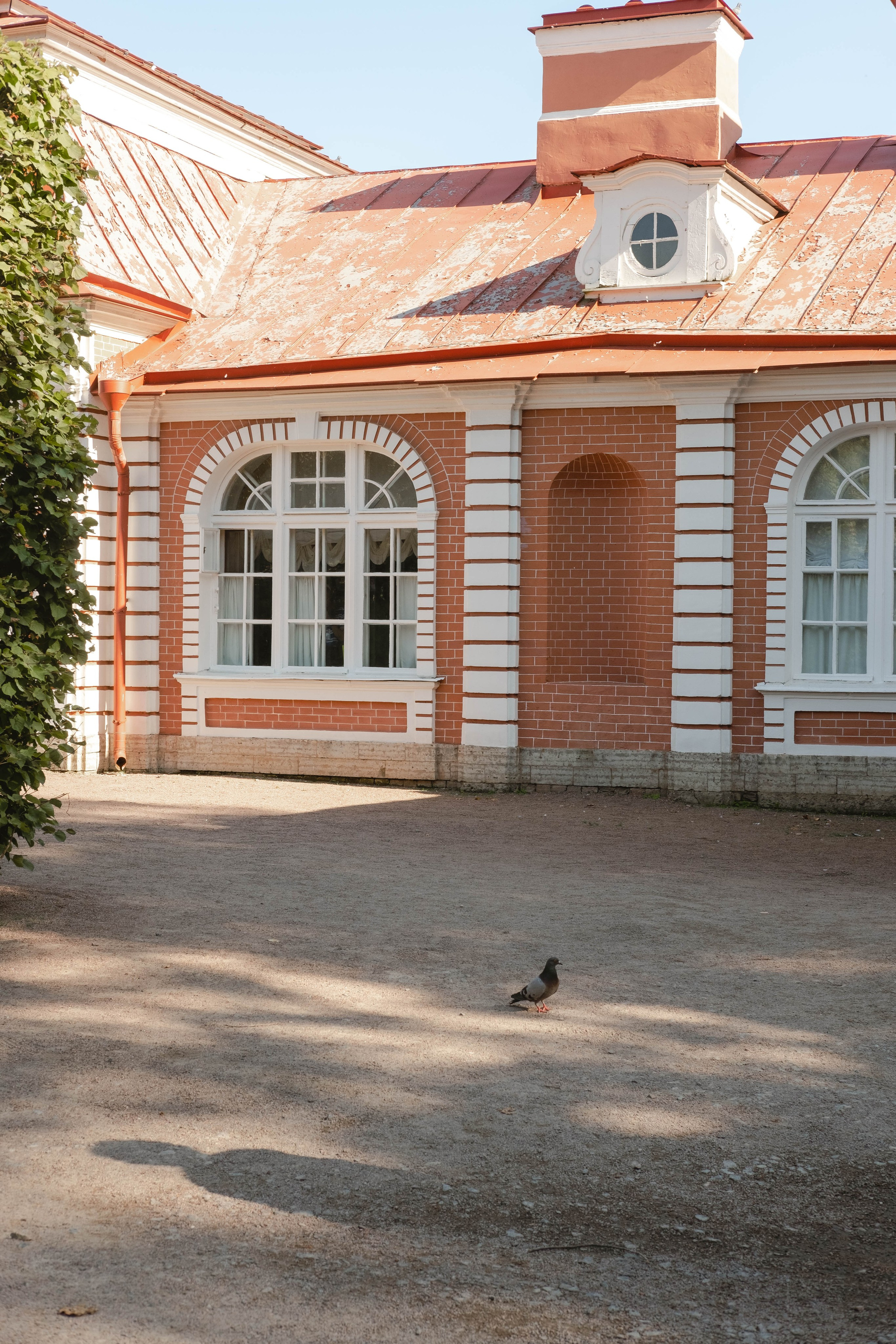Питер 2024. Свадебный и семейный фотограф в Новосибирске, Санкт-Петербурге, Москве