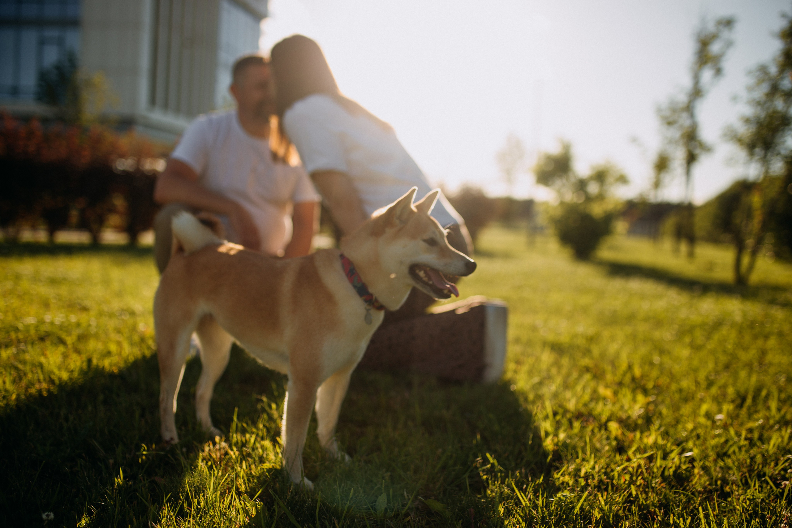 Семейный фотограф Белгородфотограф на свадьбу Белгородфотограф на крестины Белгородсемейная фотосессия Белгородфотосессия для беременных. Фотограф Анастасия Евсеева |Белгород
