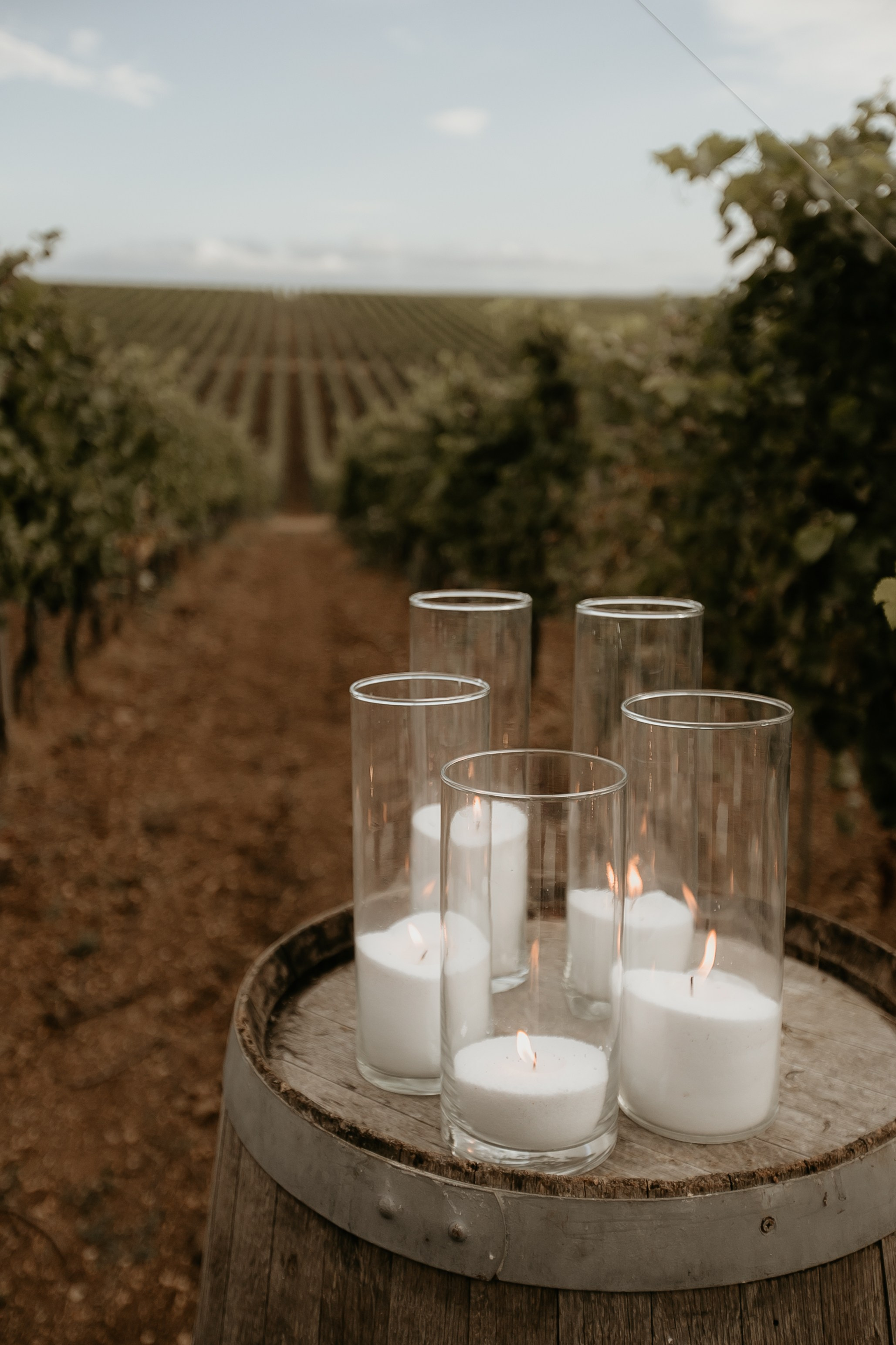 Wedding on winery. Свадебный фотограф в Севастополе и Крыму| Tanya Sher