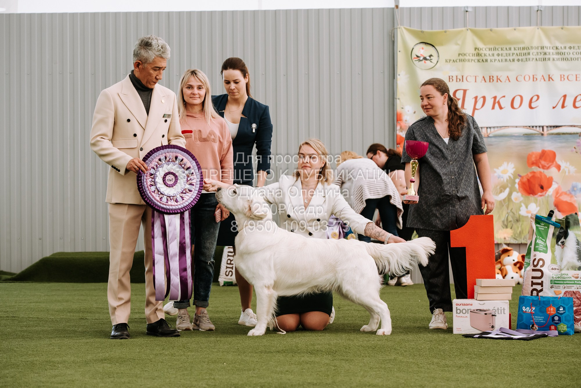 Выставка собак Красноярск 2.06. Фотограф Диана Оленина Красноярск / Братск