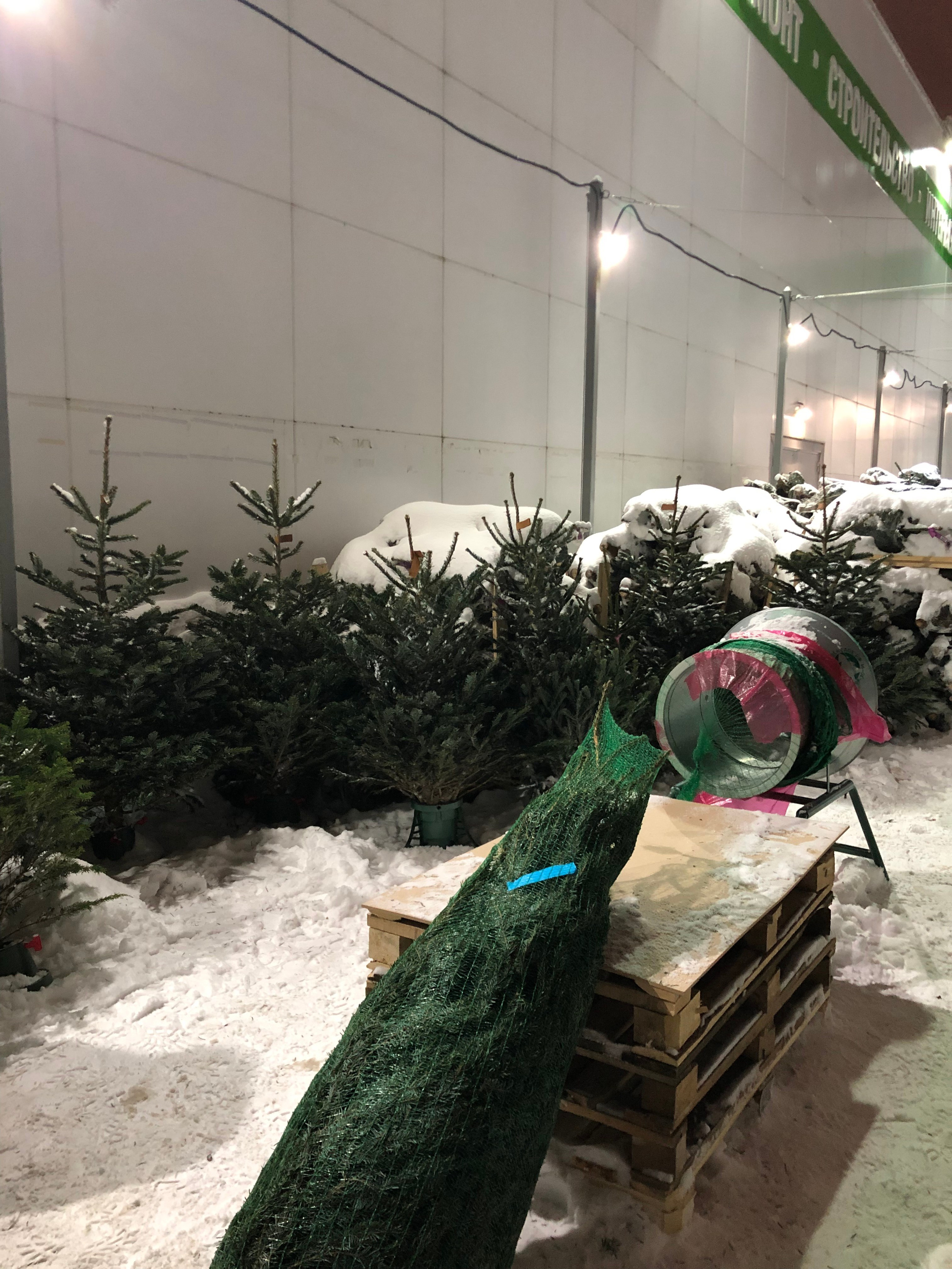 Декабрь. Семейный, Свадебный фотограф СПБ Питер— Романова Екатерина