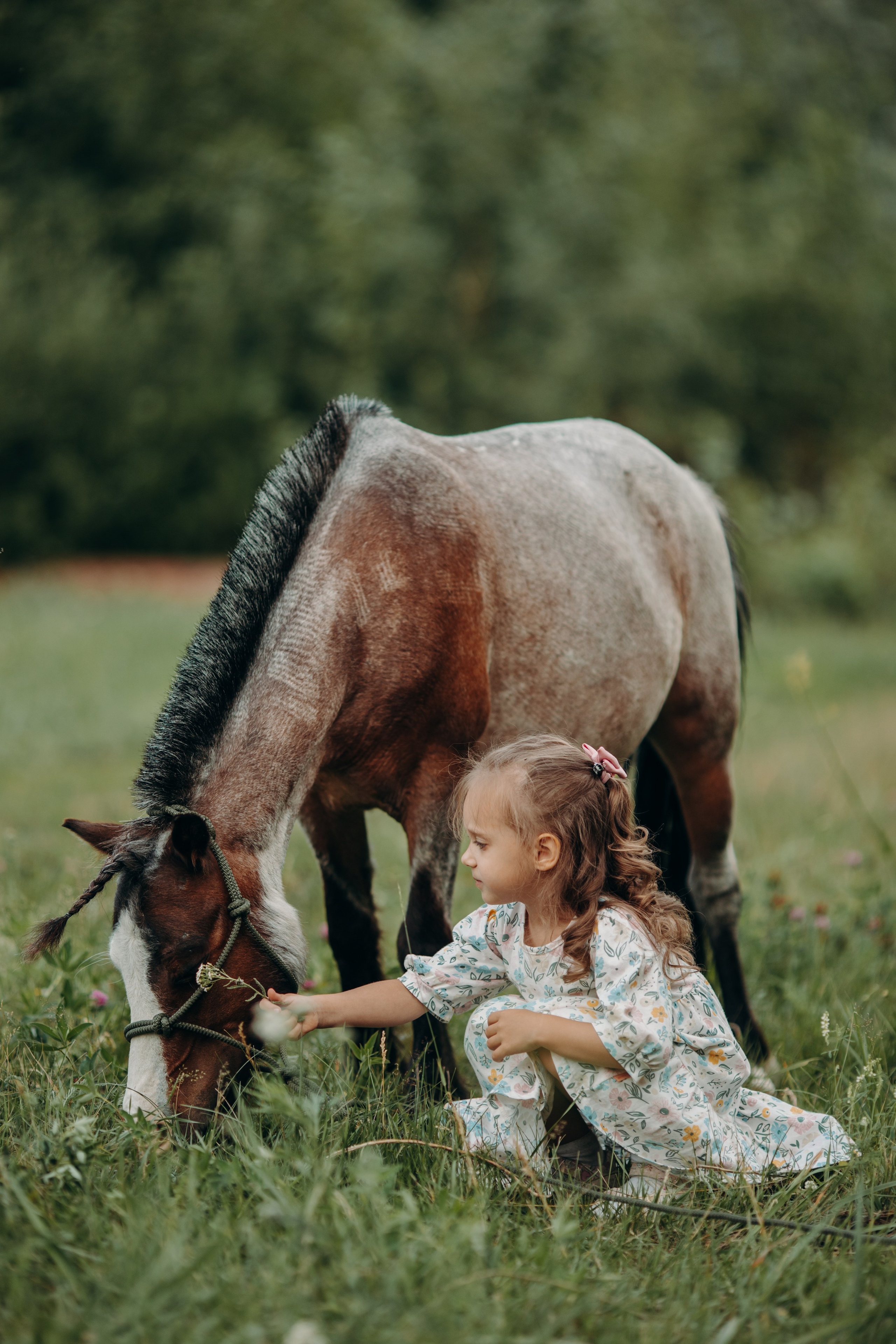 Малышка Вика. Анна Молчанова конный фотограф в Тюмени | фотосессии с лошадьми Тюмень