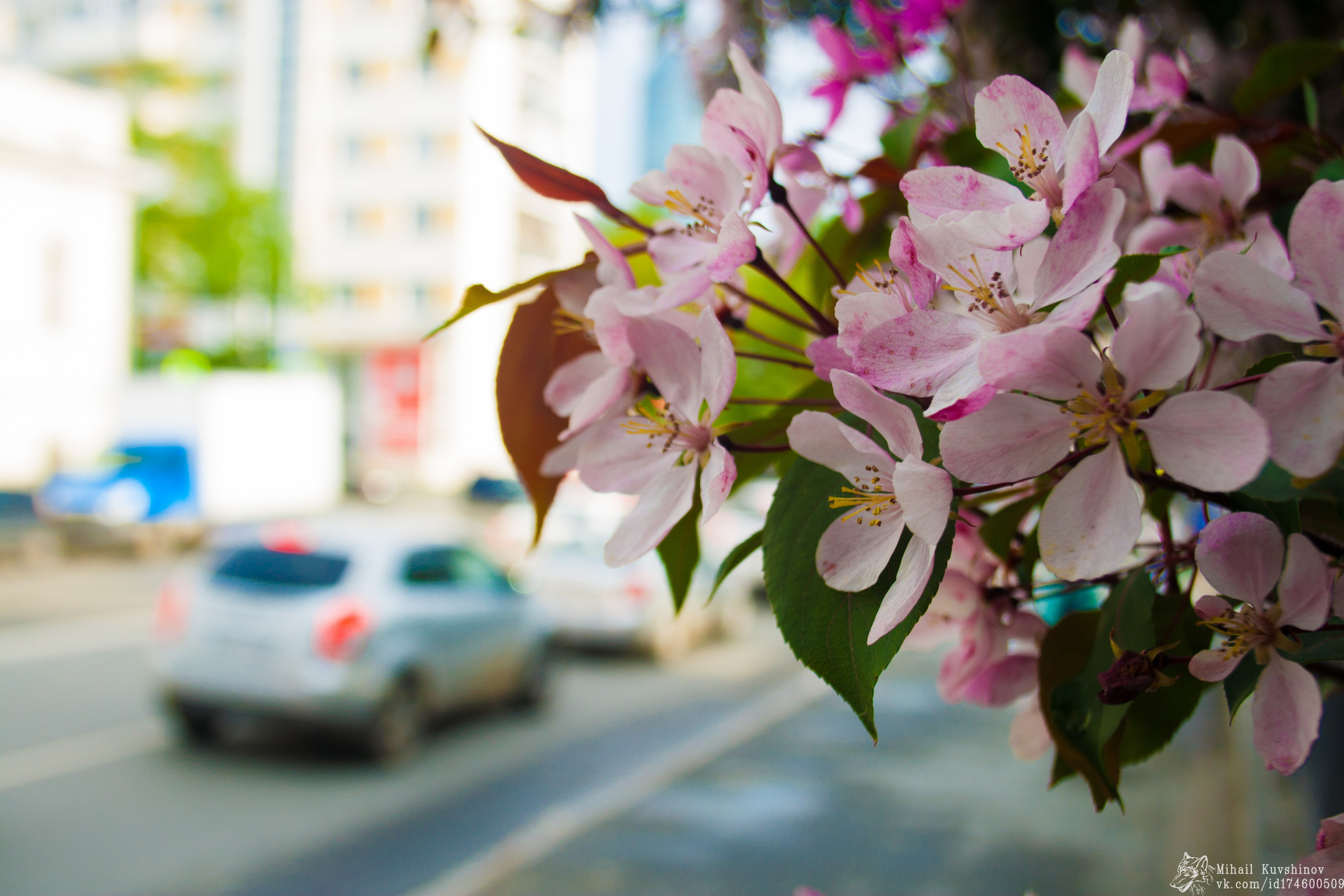 Уличная съёмка. Фотограф Михаил Кувшинов