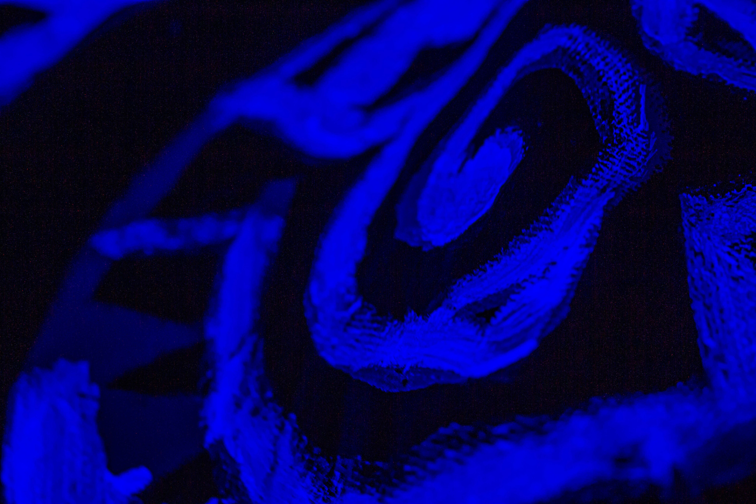 НЕ ТЕМНО_ЛИЦЕЙ им. С. П. ДЯГИЛЕВА 2025