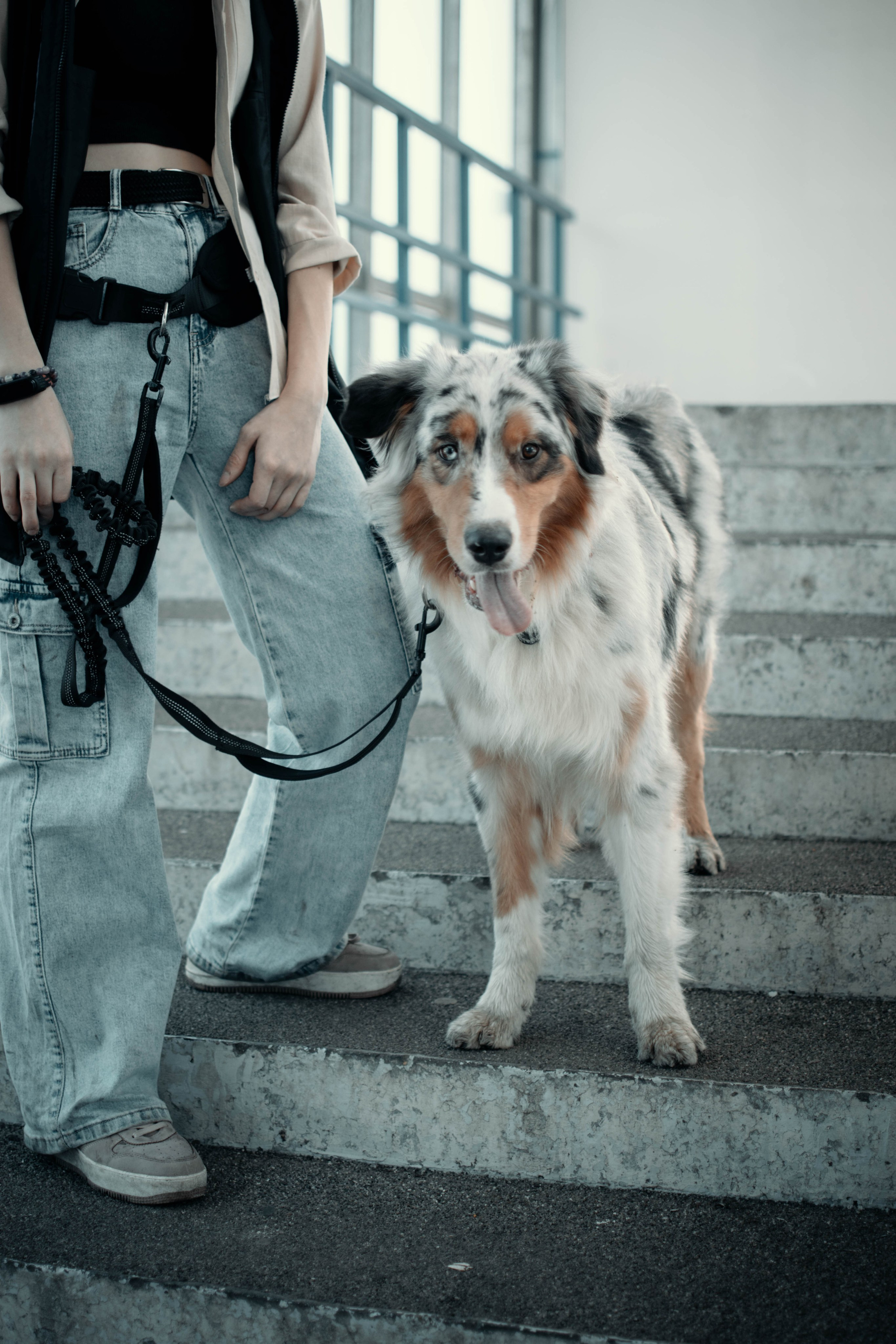 Фотография животных. Sevenksfm ph