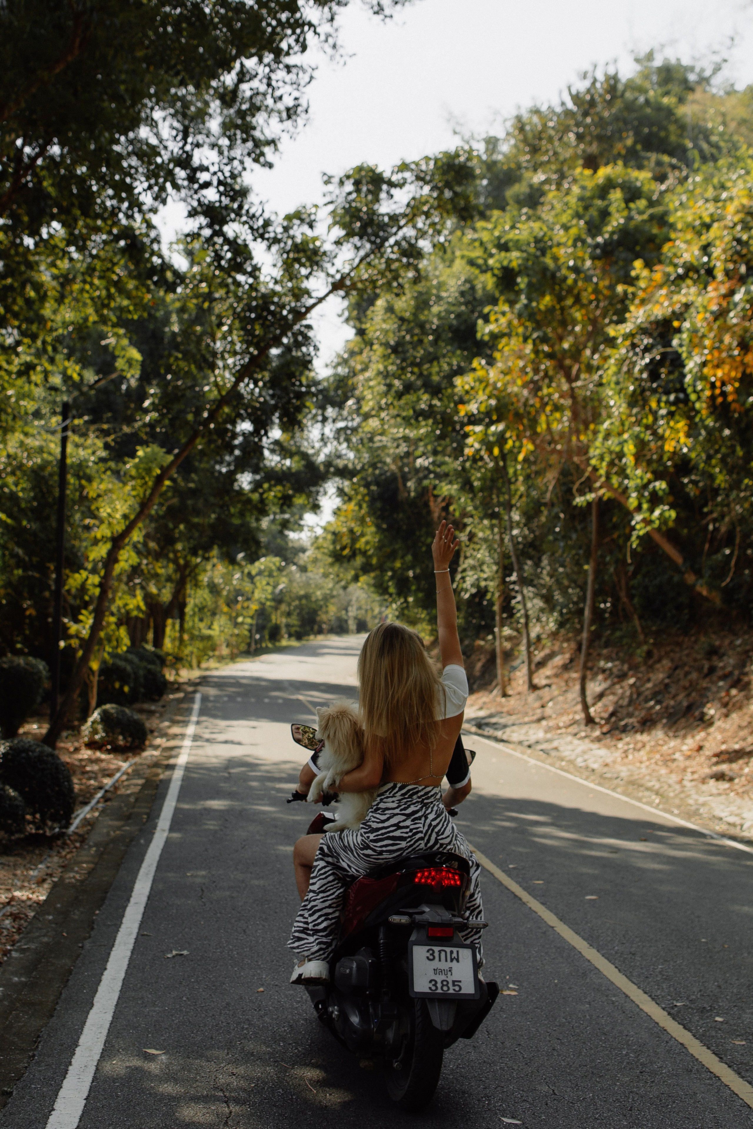 Sofia & Anton. Фотограф Ольга Кудрявцева | Нижний Новгород