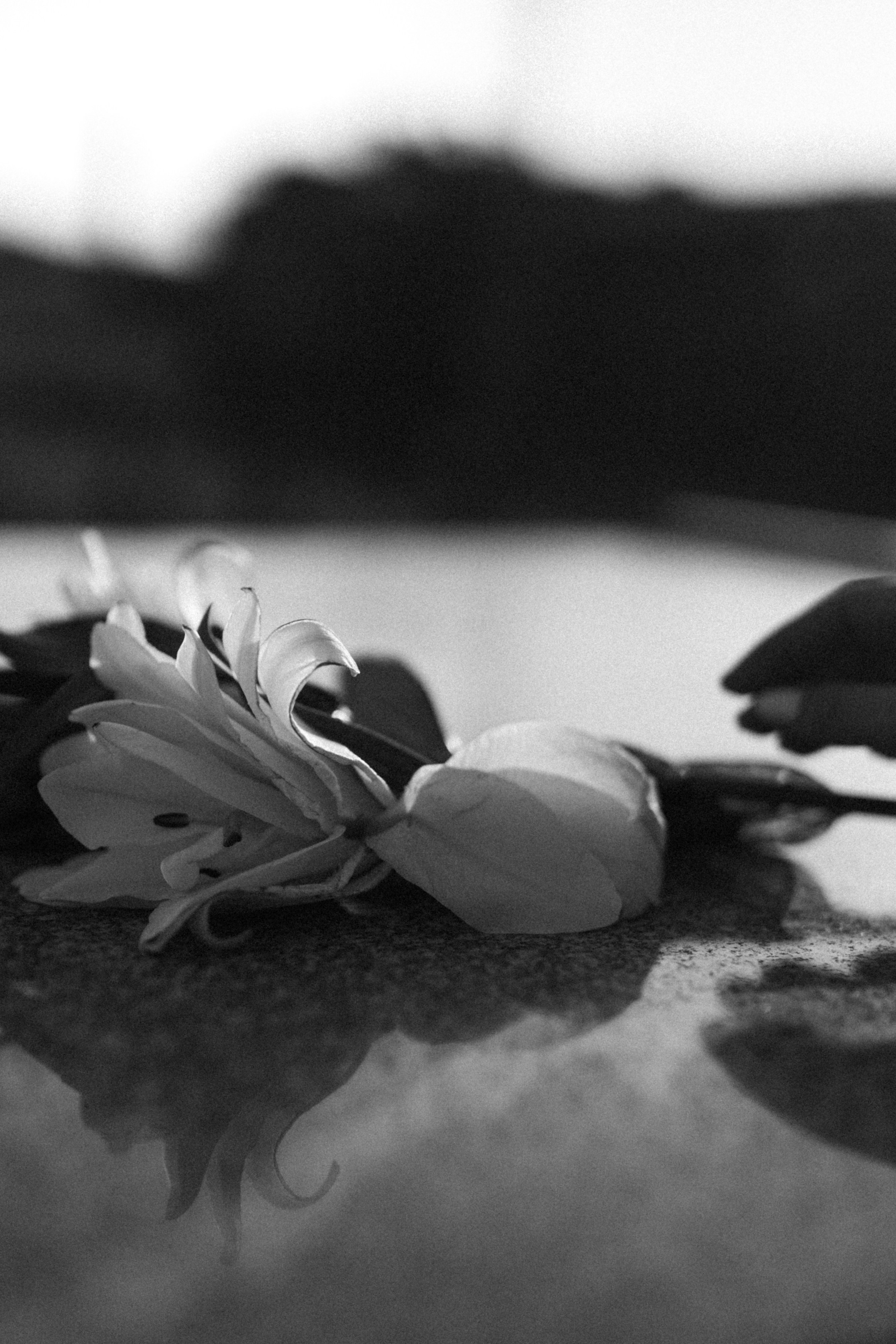 Убежать вдвоем. Варвара Синицына: семейный фотограф в Москве