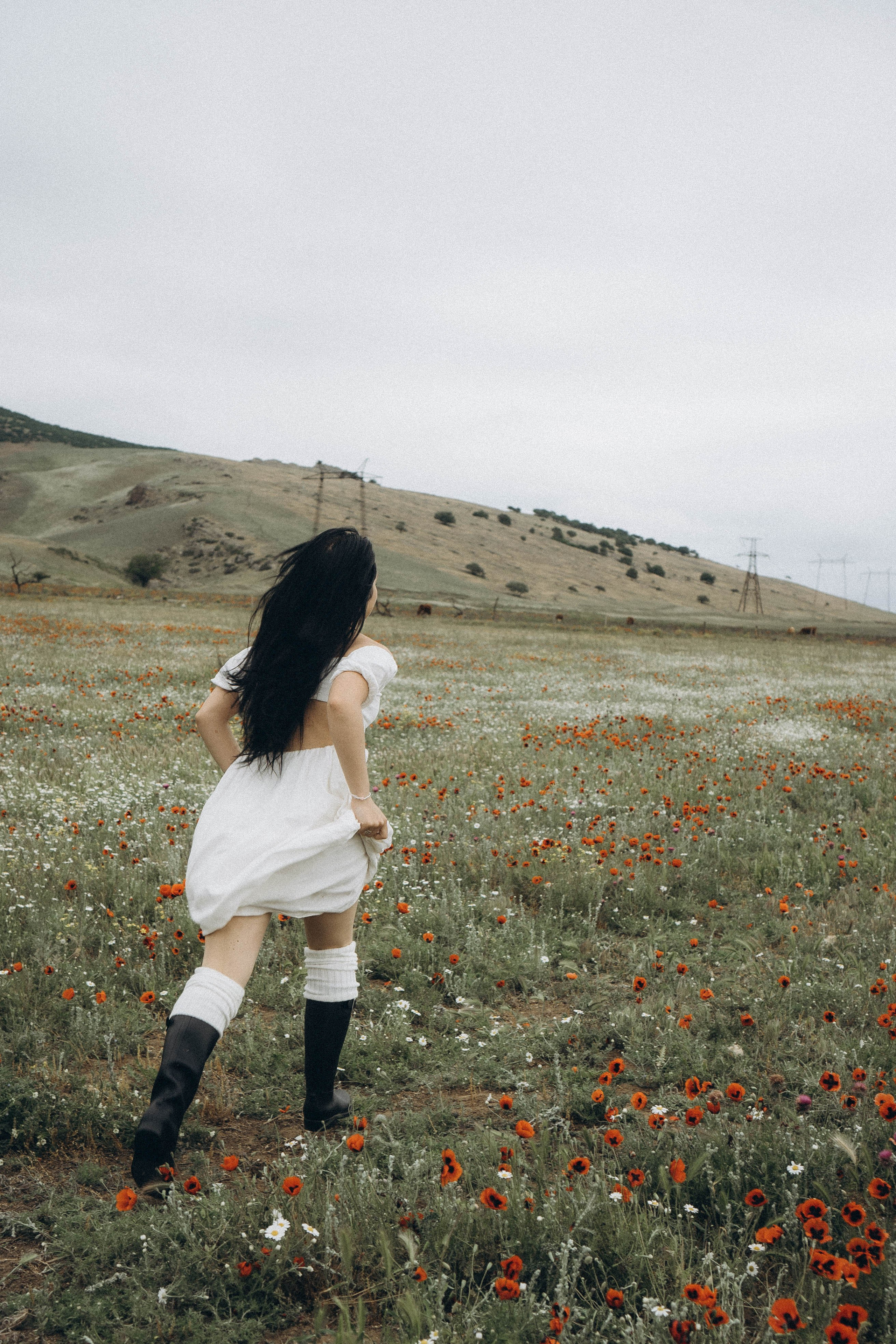 Маковое поле. Профессиональный фотограф, Санкт-Петербург — Виктория Богомолова
