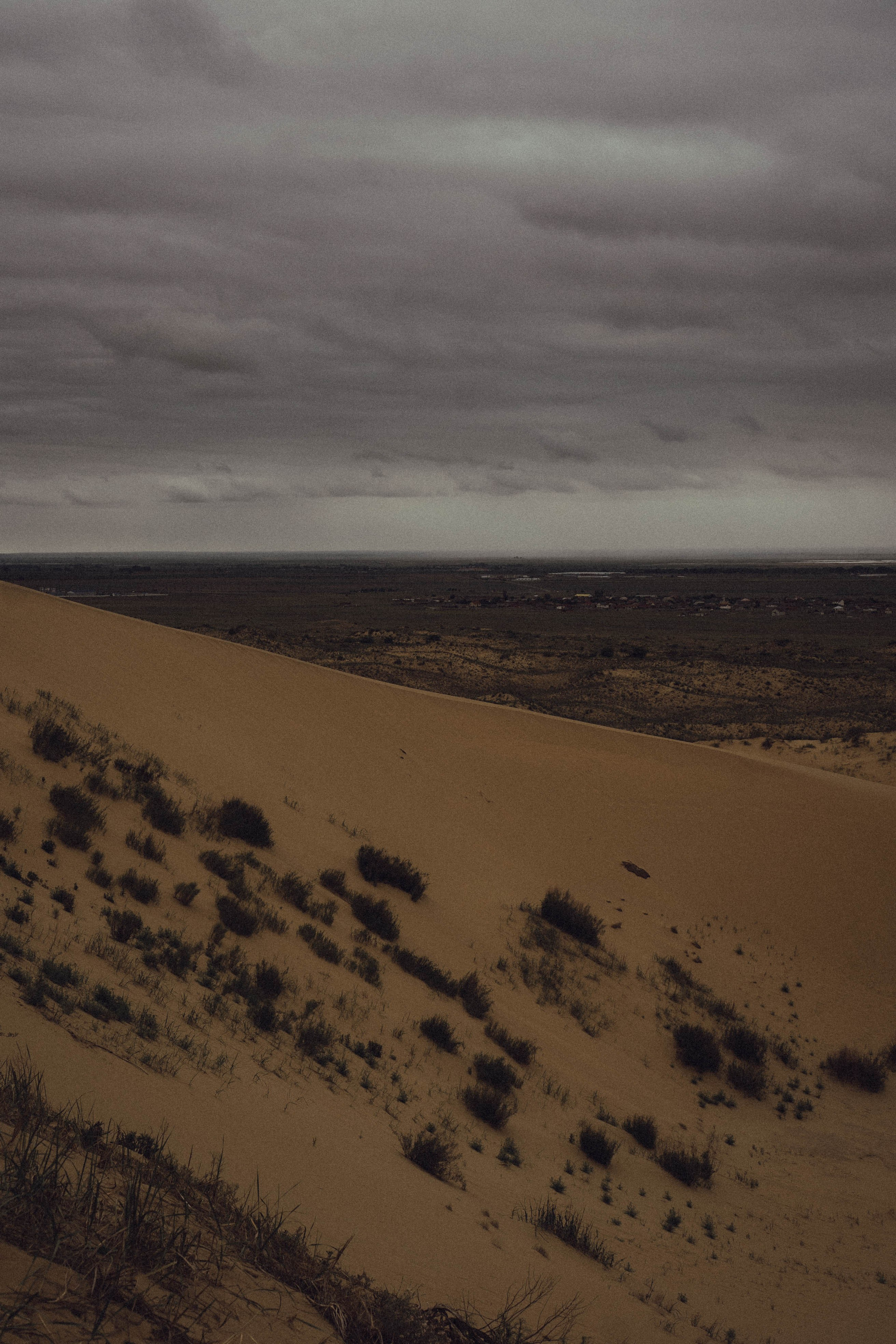 Кавказ. Профессиональный фотограф, Санкт-Петербург — Виктория Богомолова