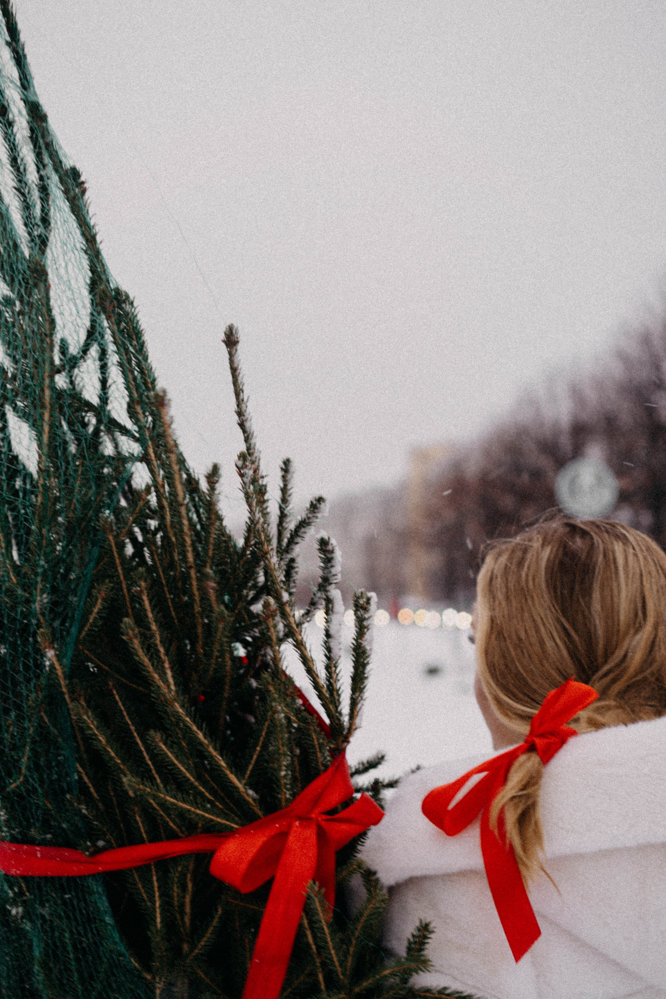 Новогодняя. Профессиональный фотограф, Санкт-Петербург — Виктория Богомолова