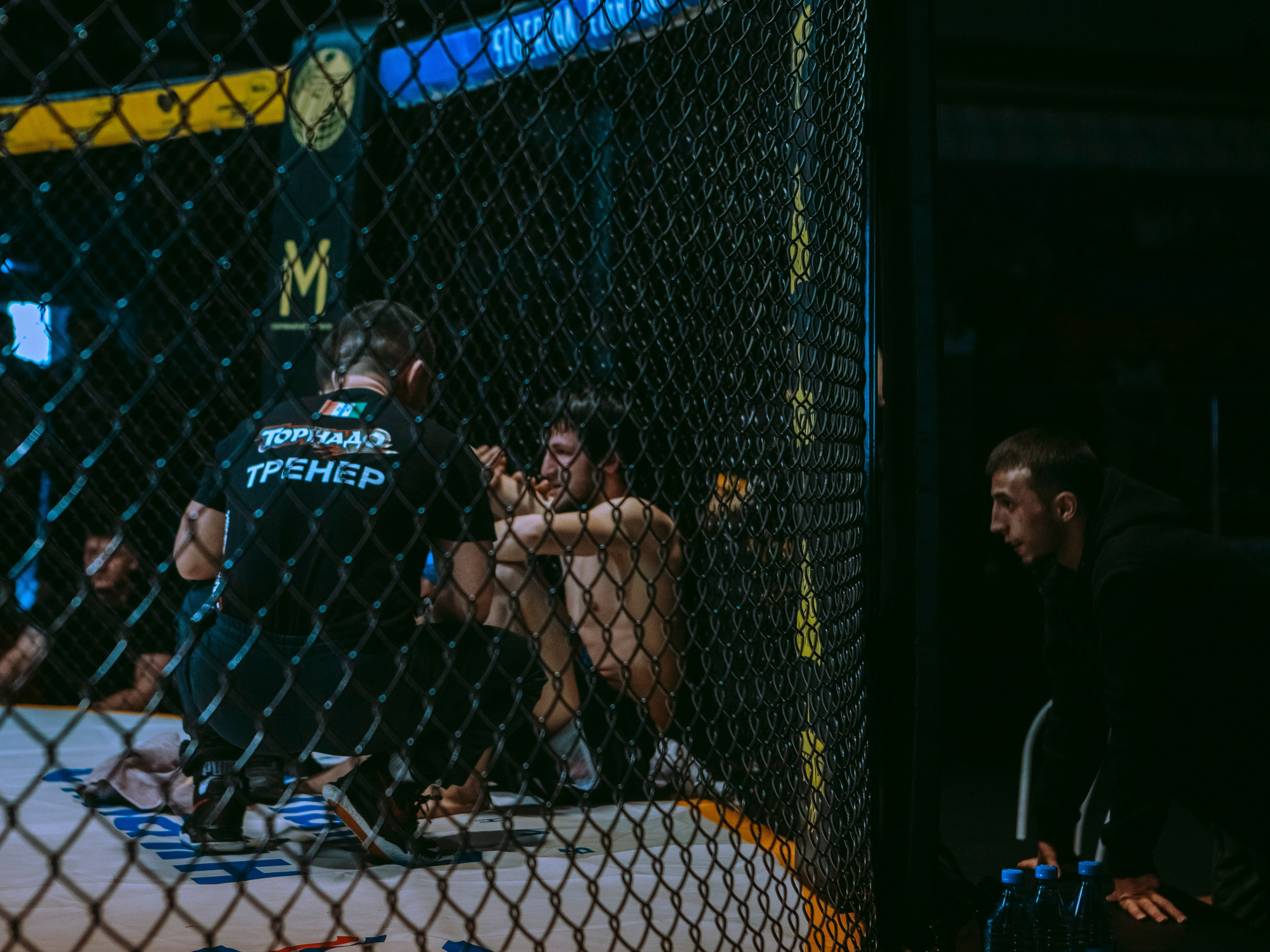 SFL 17 | Siberian Fighting League. Портретный фотограф в Москве Дарья Цезария