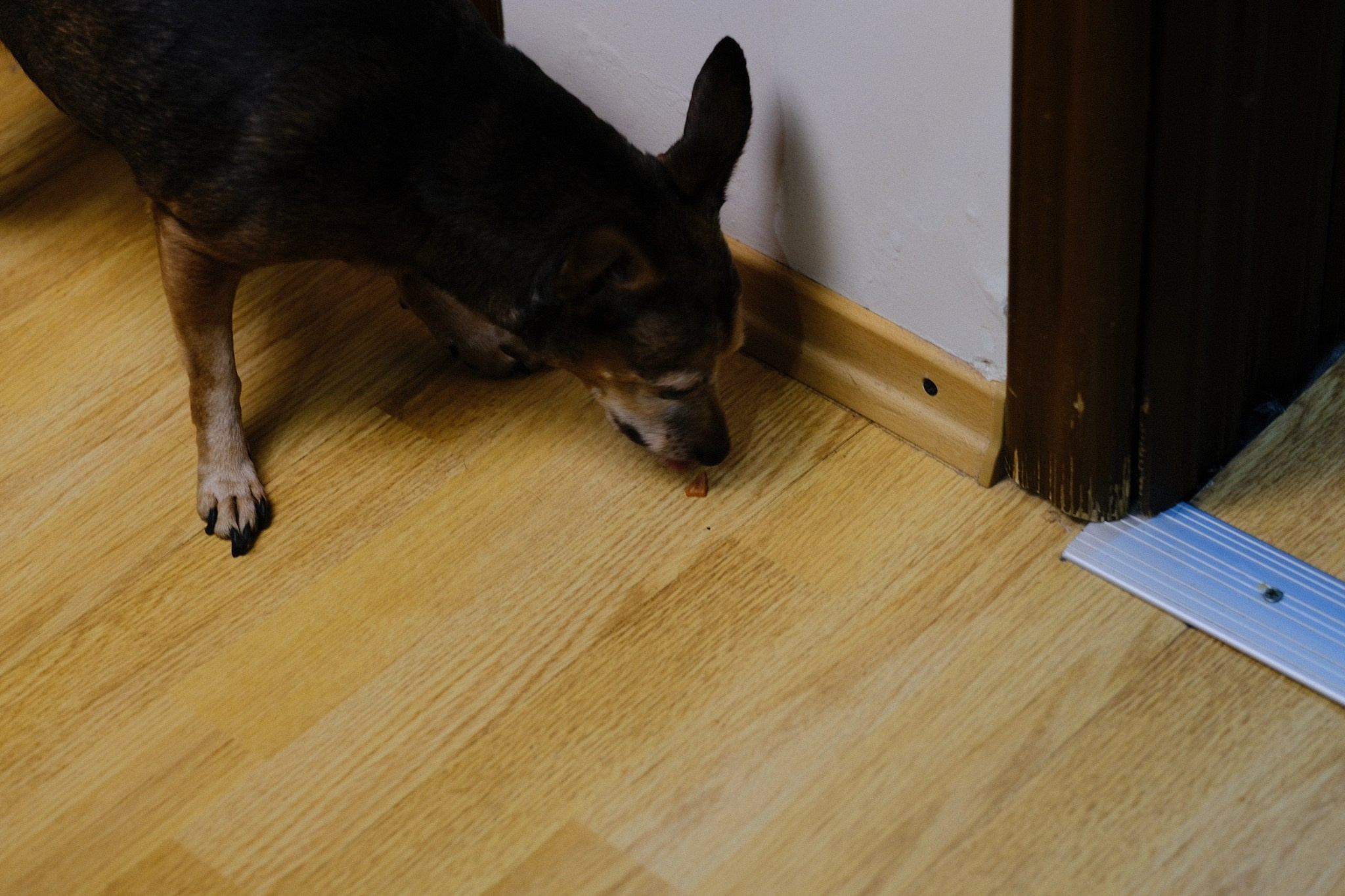 Лиса, Рада и их люди. Дмитрий Бречалов