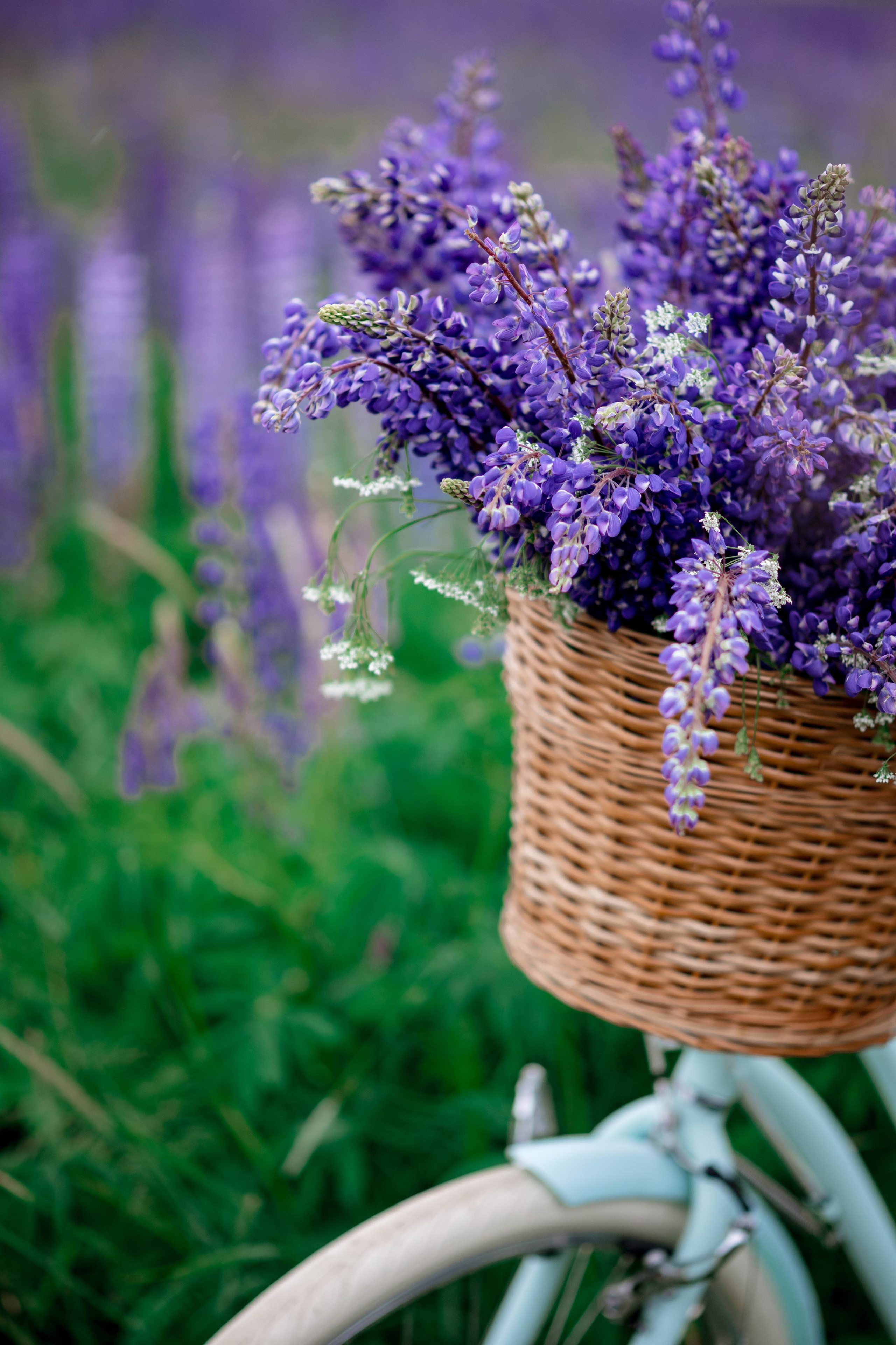 Ника. Свадебный, семейный и детский фотограф в Москве и области