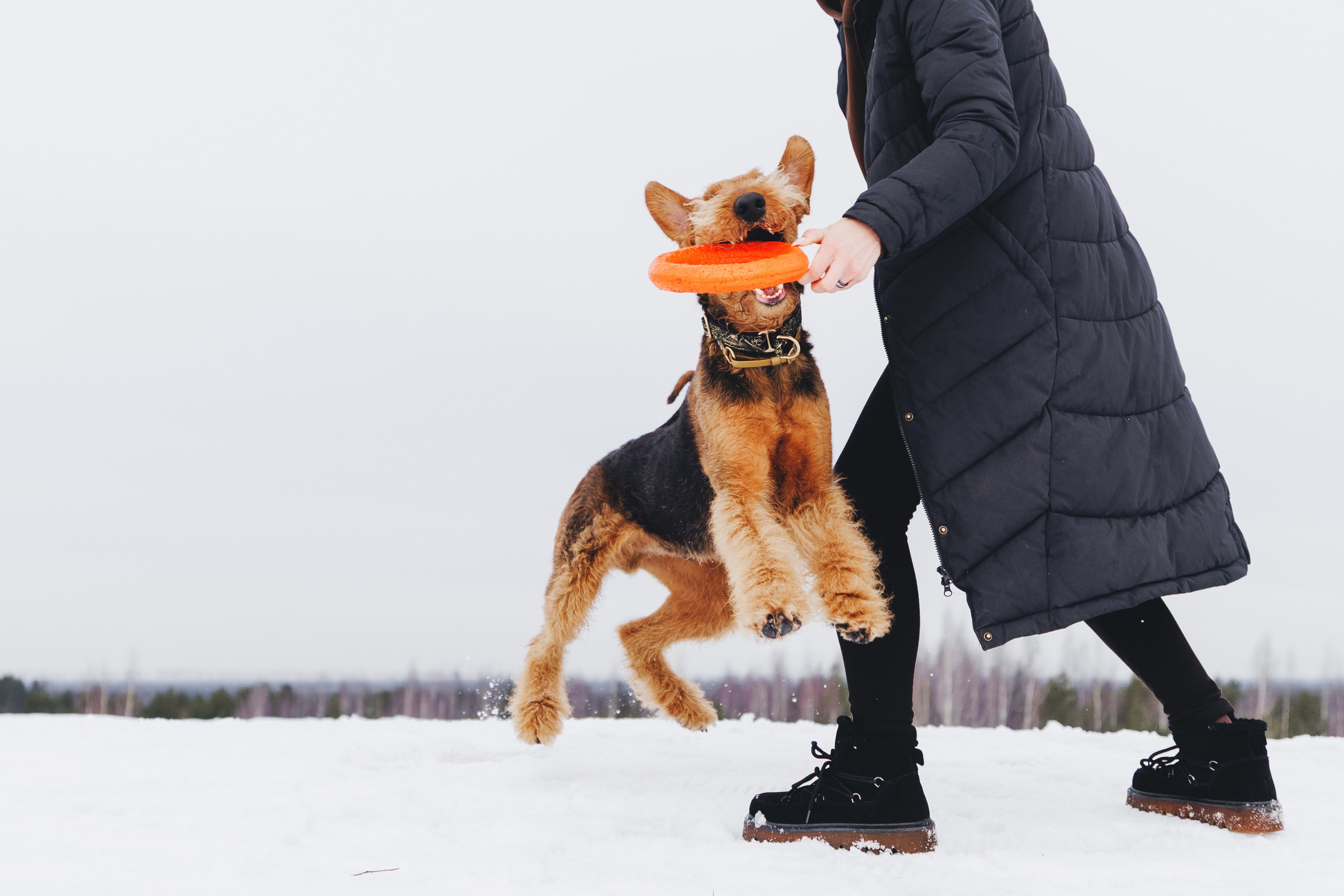 Оля и Хард. Фотограф анималист Осипчикова Мария