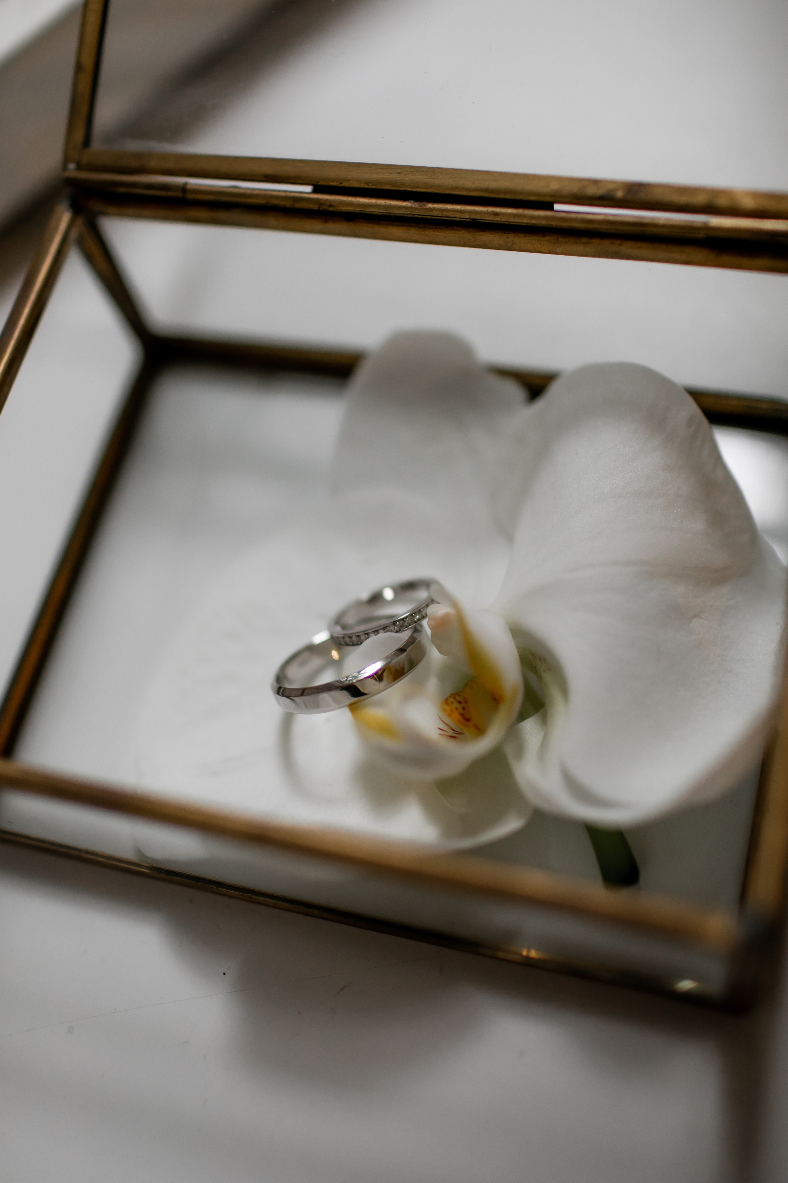 Александр и Екатерина. Семейный фотограф в Москве Владимир Васильев