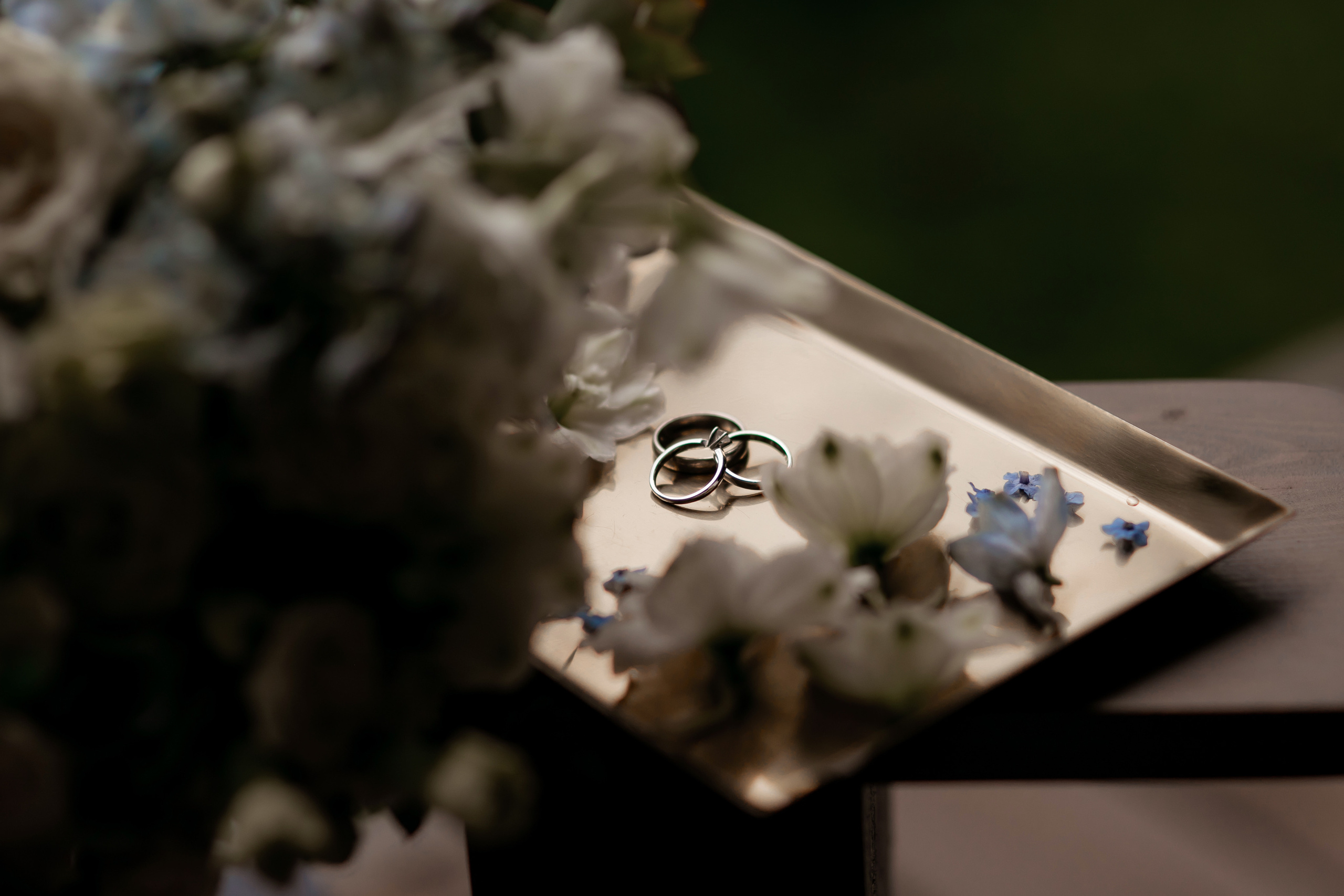 Тимур и Луиза. Семейный фотограф в Москве Владимир Васильев