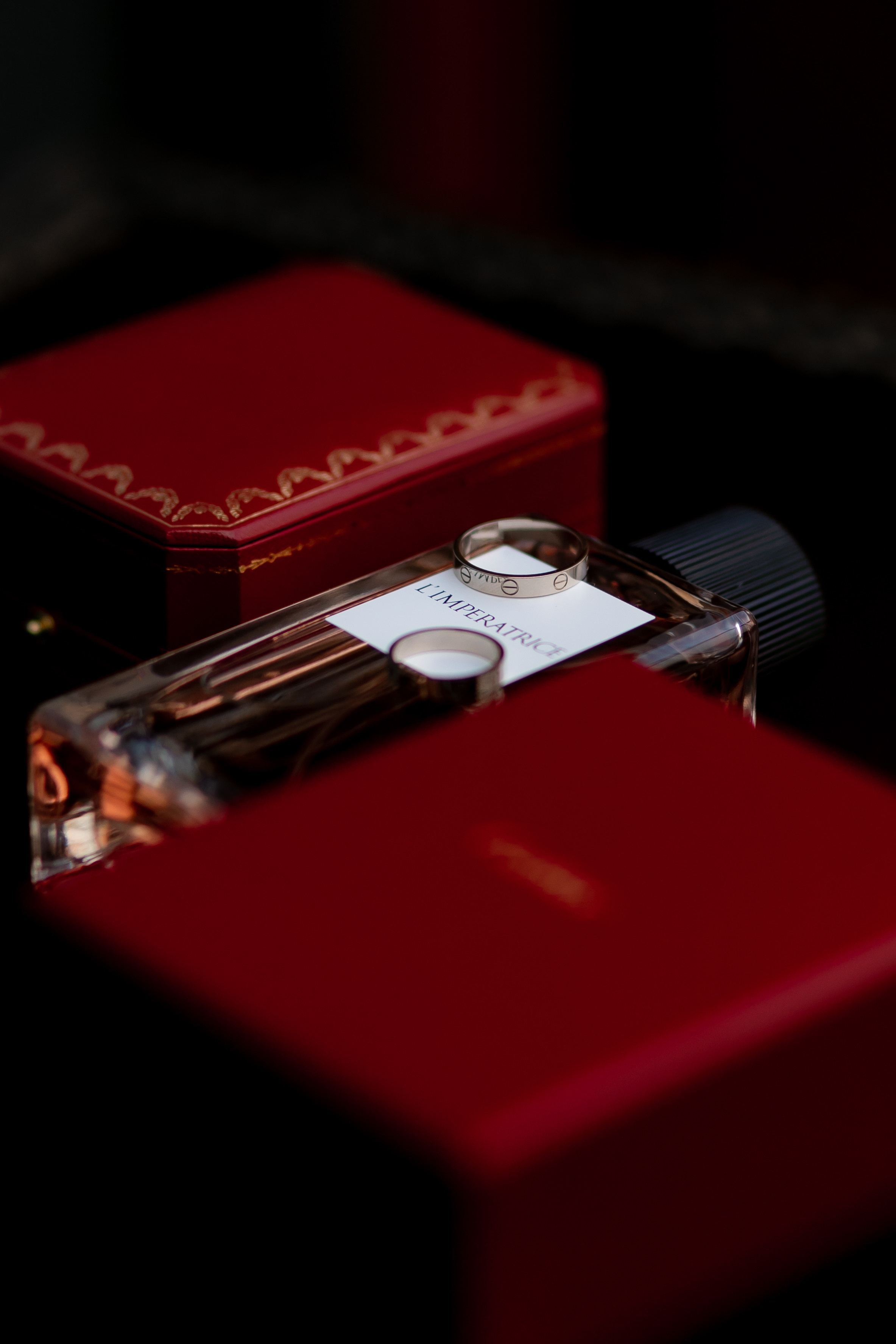 Дмитрий и Ольга. Семейный фотограф в Москве Владимир Васильев