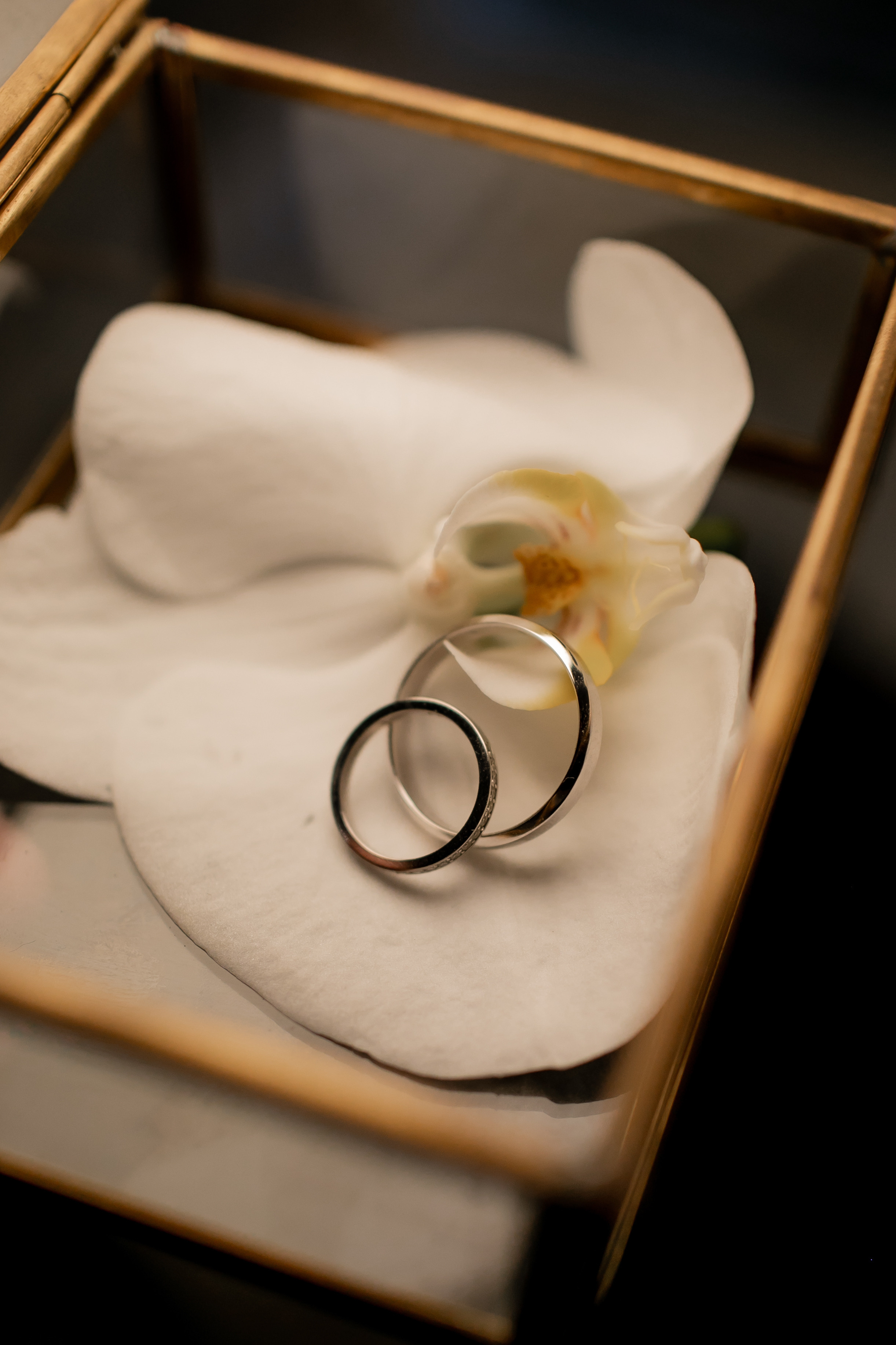 Александр и Екатерина. Семейный фотограф в Москве Владимир Васильев