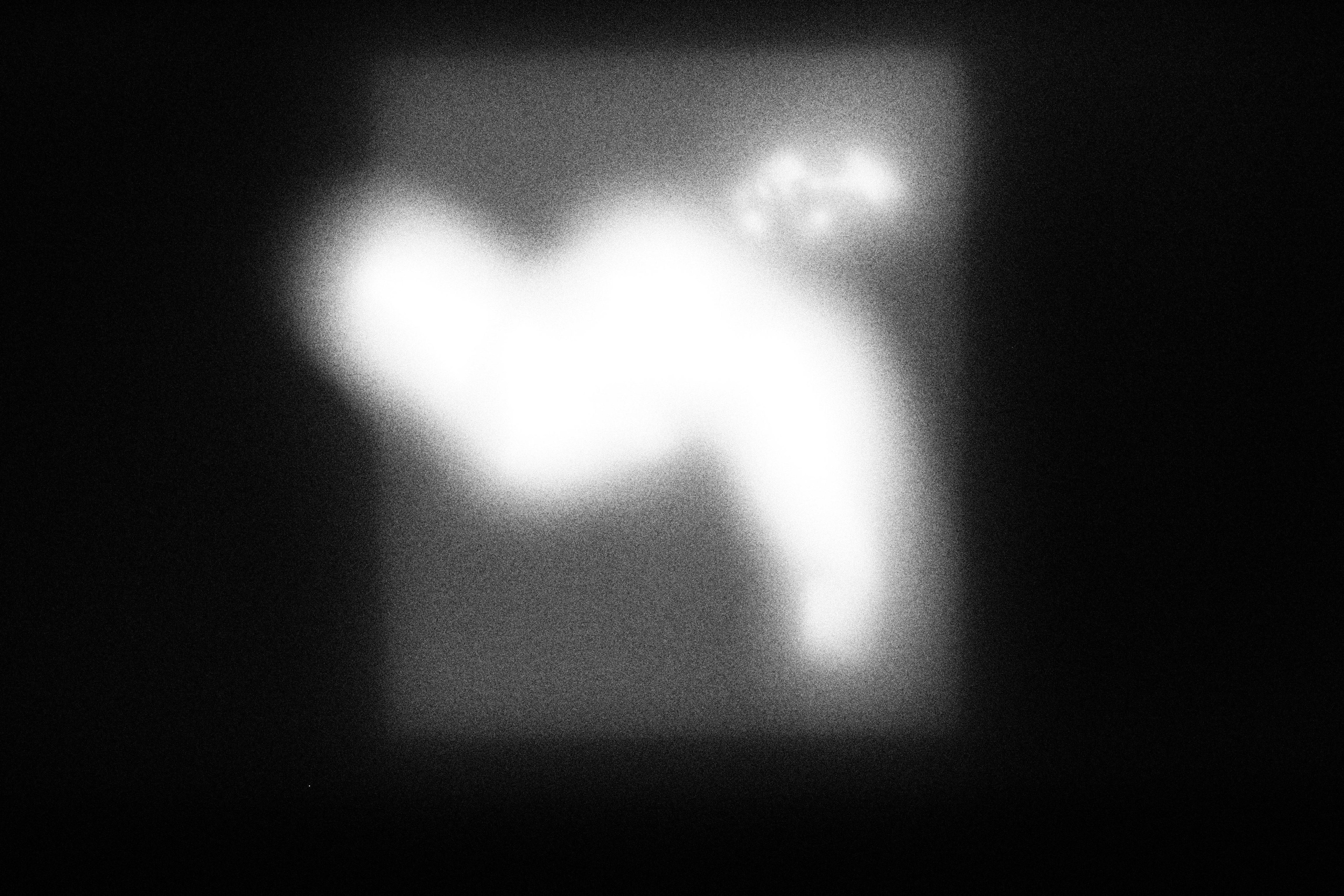 Маленькие искусства и я, Полина Шадрина