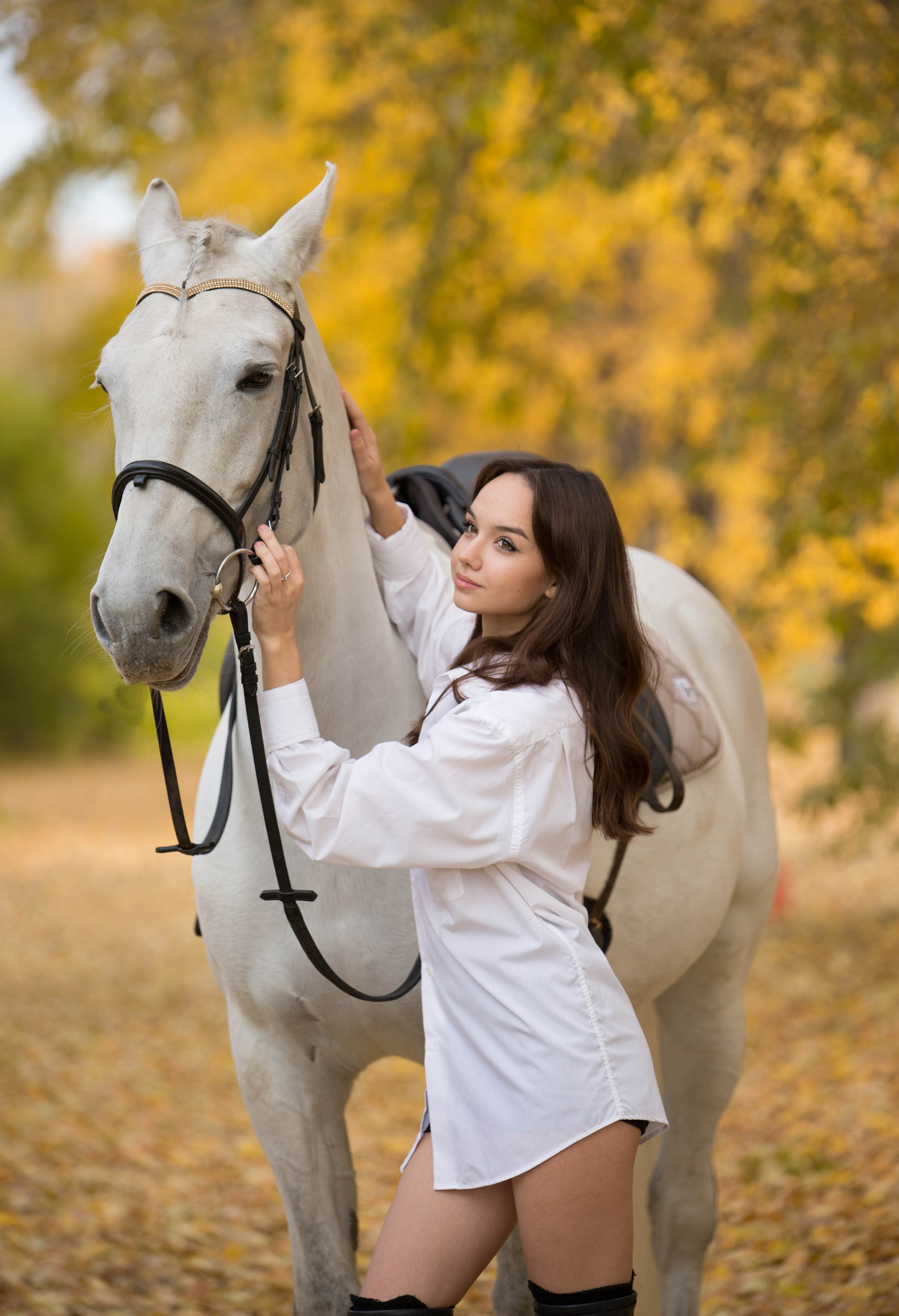 Зина и Пэрис. Конный фотограф в Красноярске — Любовь Похабова