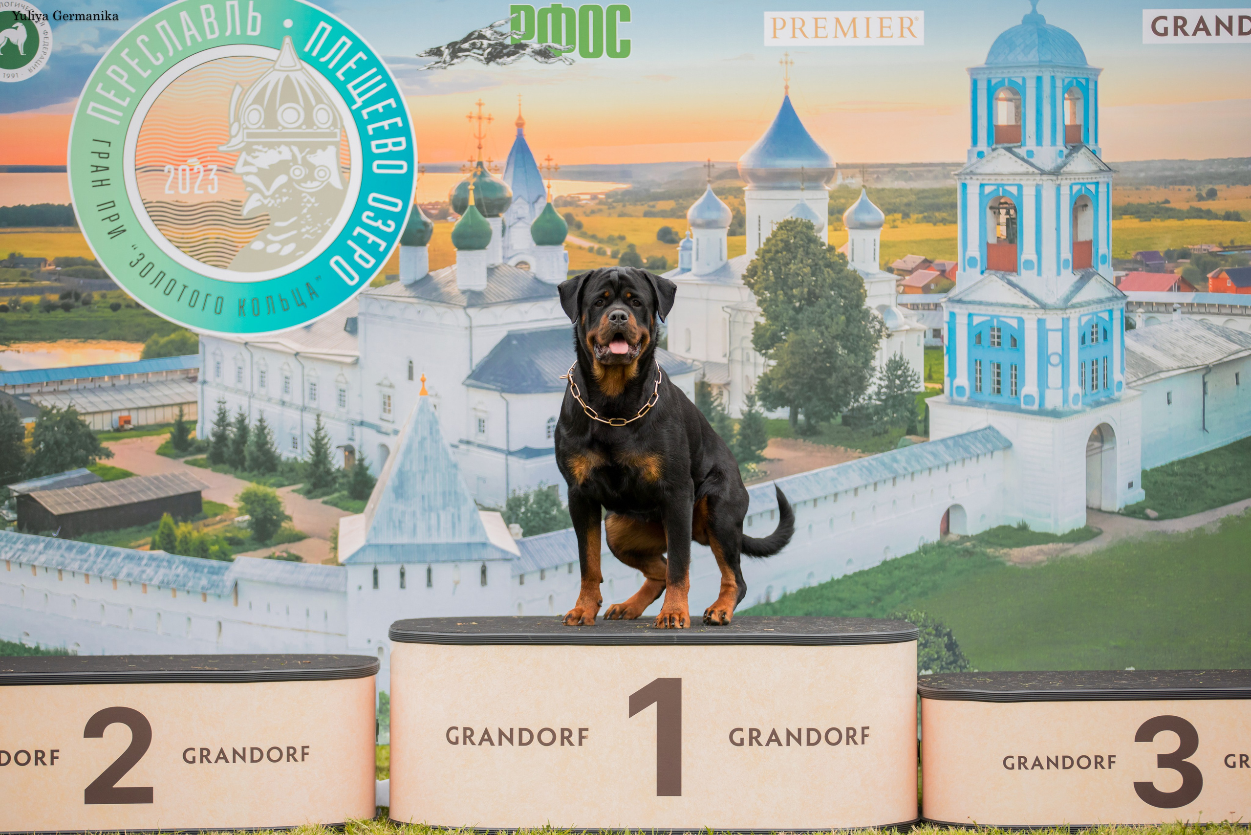 Переславль 9-10.09.2023. Фотограф-анималист Юлия Германика