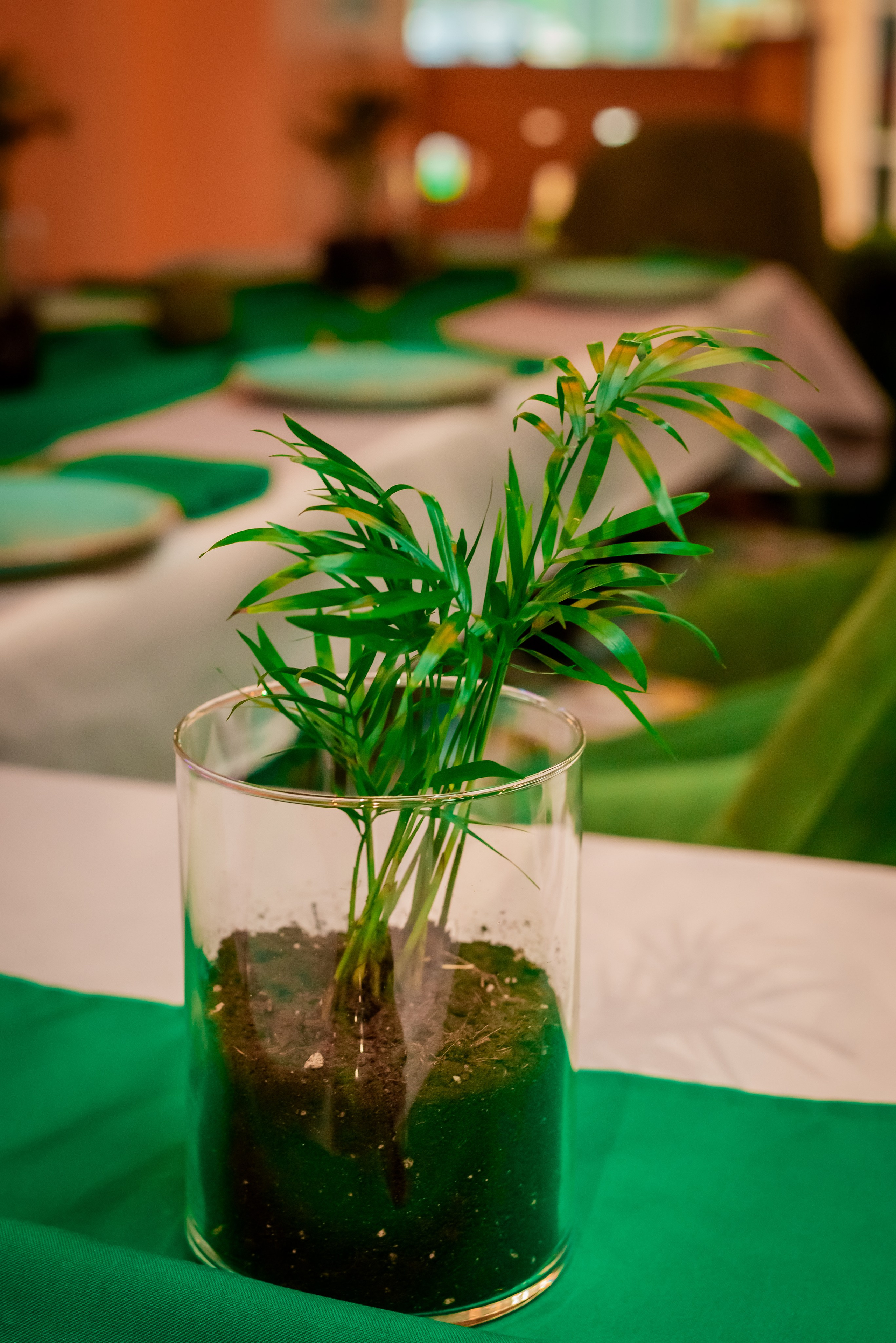 Наследники. Детский День Рождения. Фотограф Сергей Катаев