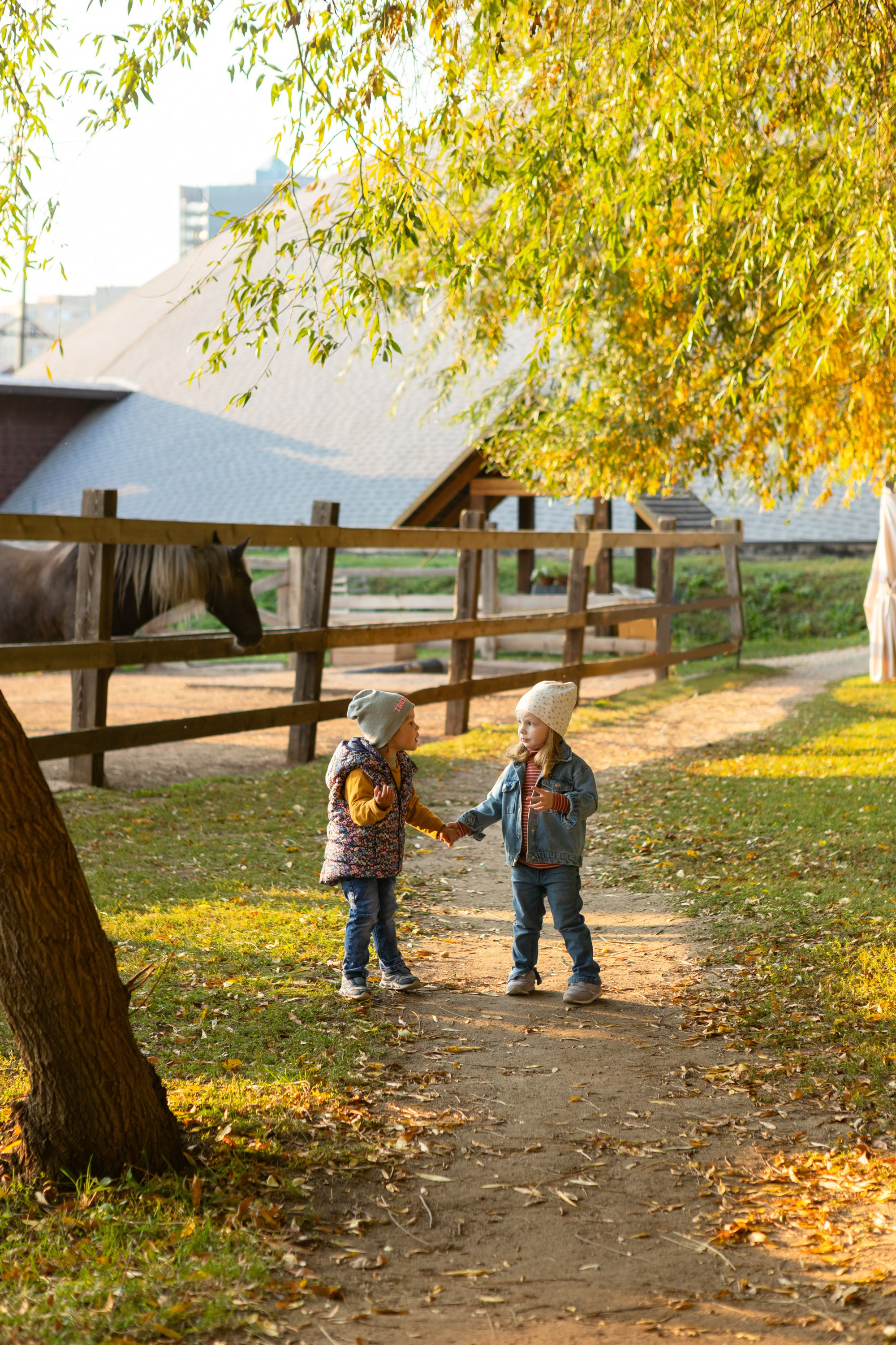 Фотосессия в конном клубе Воздух. Фотограф в Оренбурге. Профессиональный фотограф