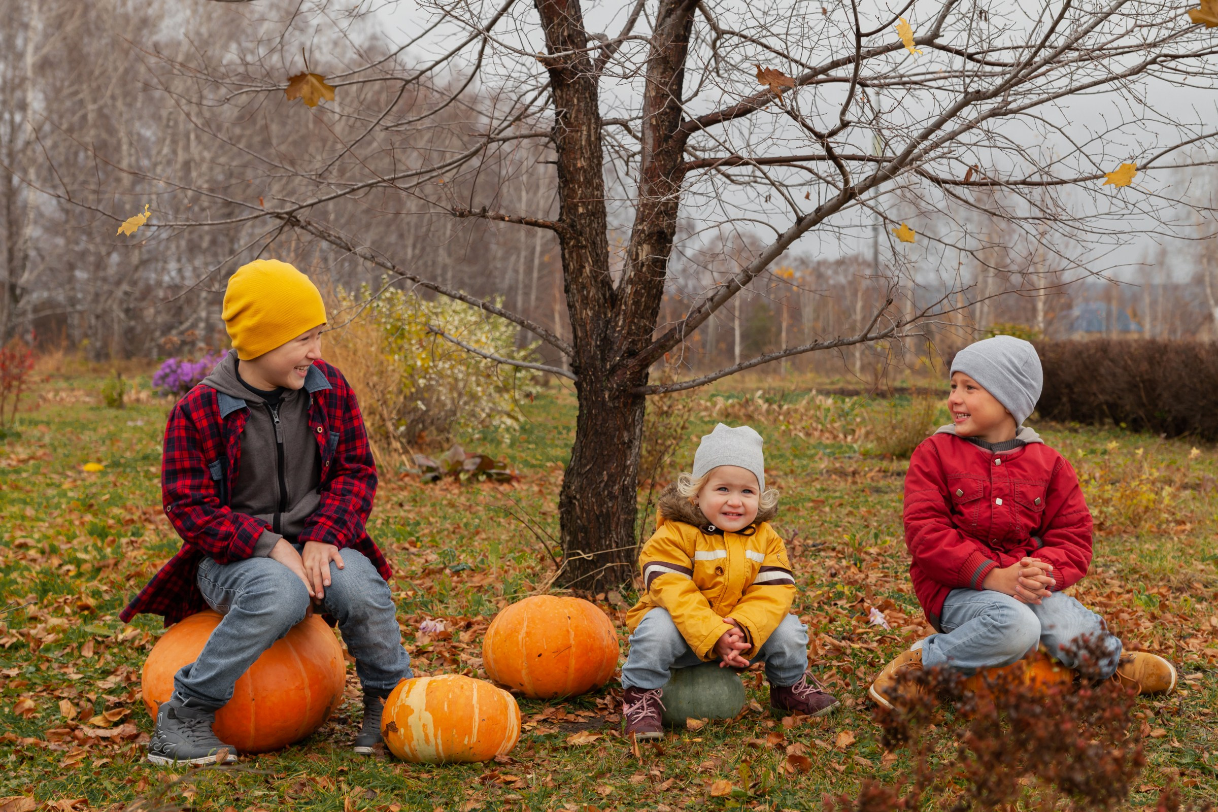 Осень. Детский и семейный фотограф в Бердске и Новосибирске Дарья Гребнева