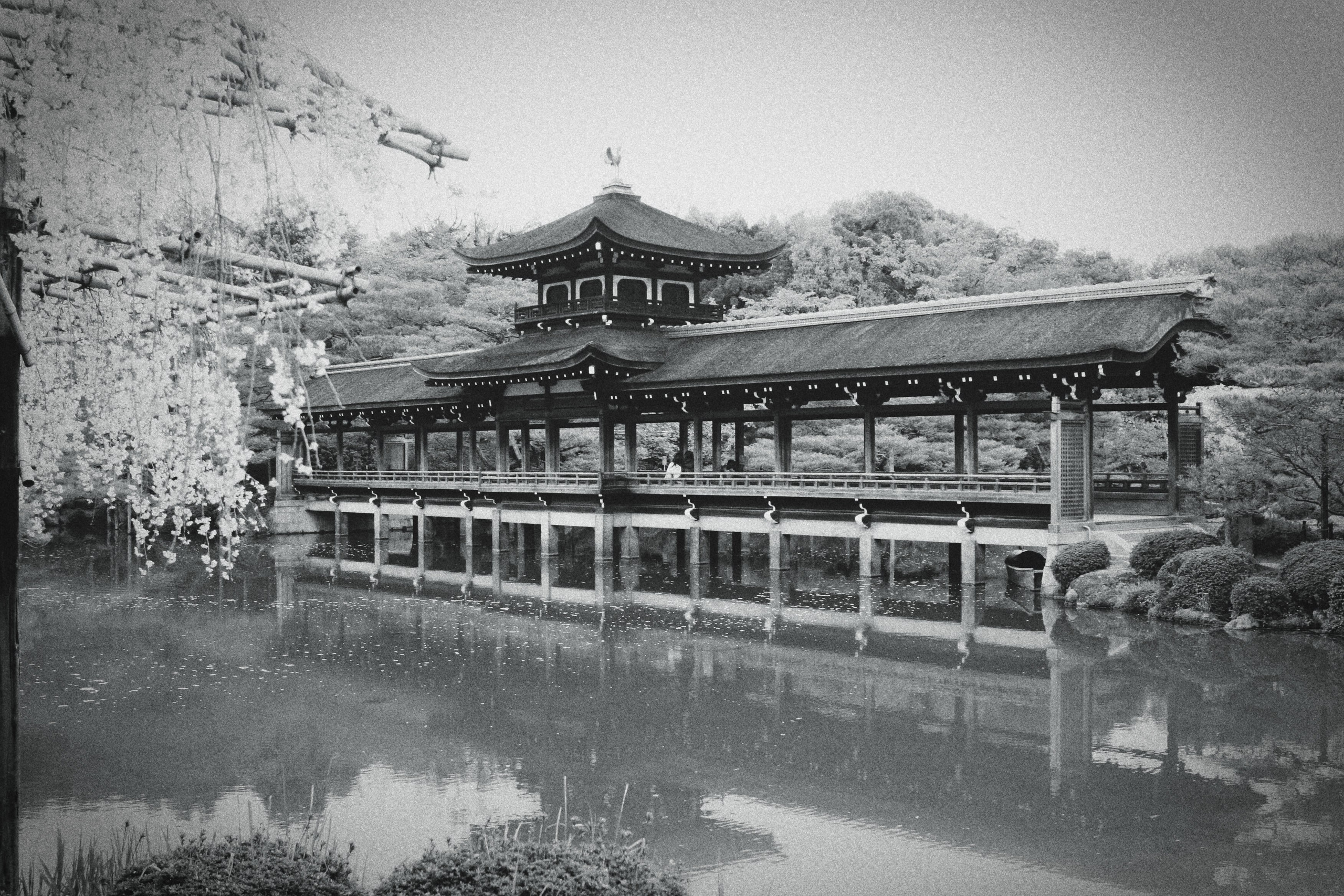 Япония. Фотография, ретушь, сканирование, восстановление старых фото, интерьерная съёмка, студия. Данилов Александр, Москва