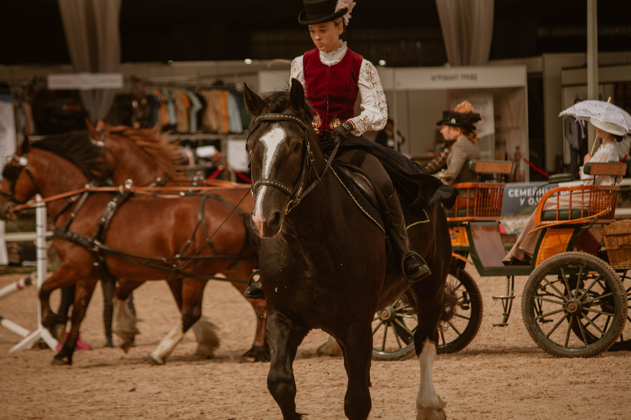 ИППОСФЕРА — Международная конная выставка. Создадим шедевр? Виталина и её фотоискусство