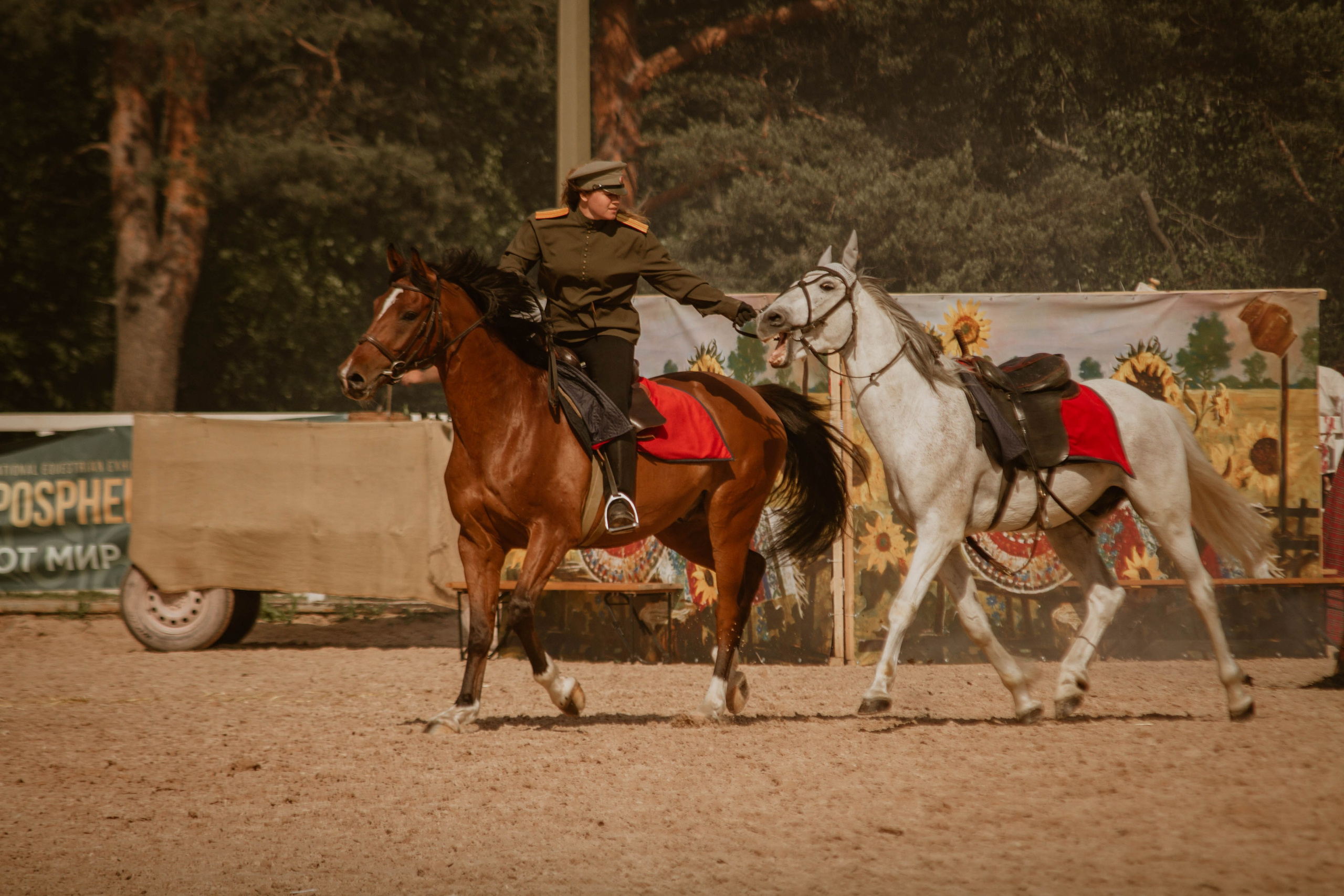 ИППОСФЕРА — Международная конная выставка. Создадим шедевр? Виталина и её фотоискусство