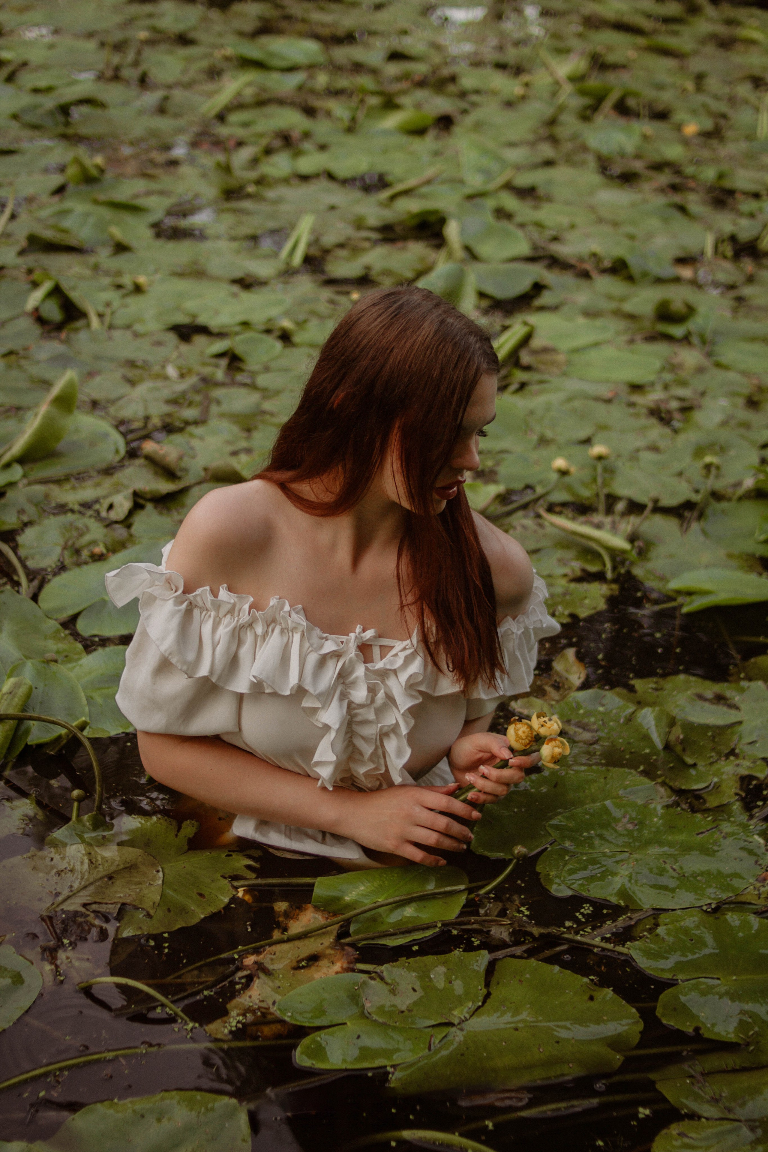 Кувшинки. Создадим шедевр? Виталина и её фотоискусство