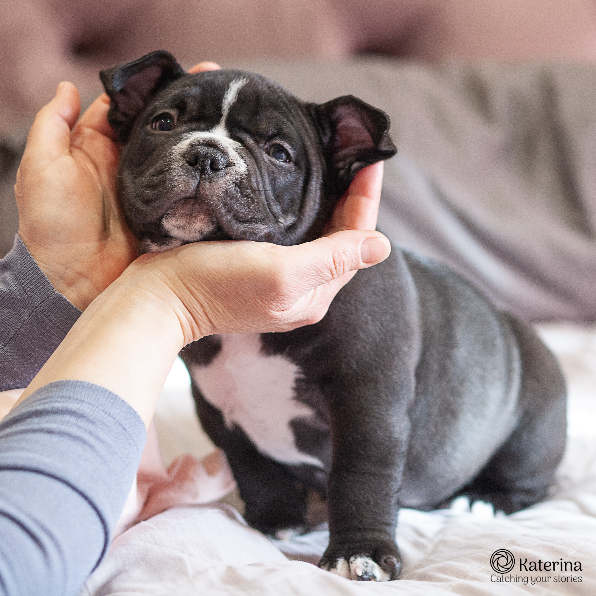 Николас и щенки. Портретная и семейная съемка. Фотограф анималист