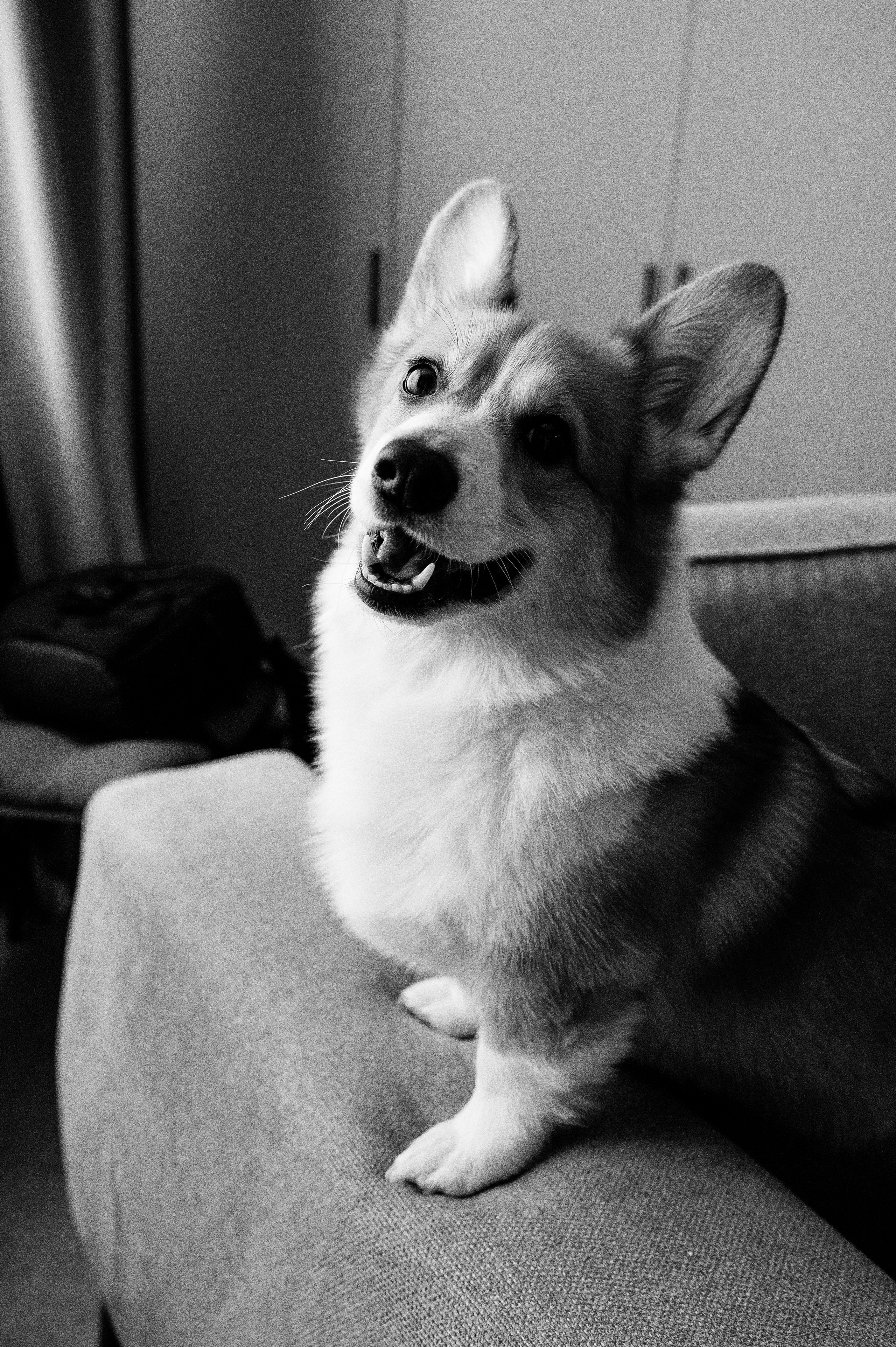 Лизавета, Никита и Мирослава. Фотограф беременности и семьи, домашние съемки, Ньюборн