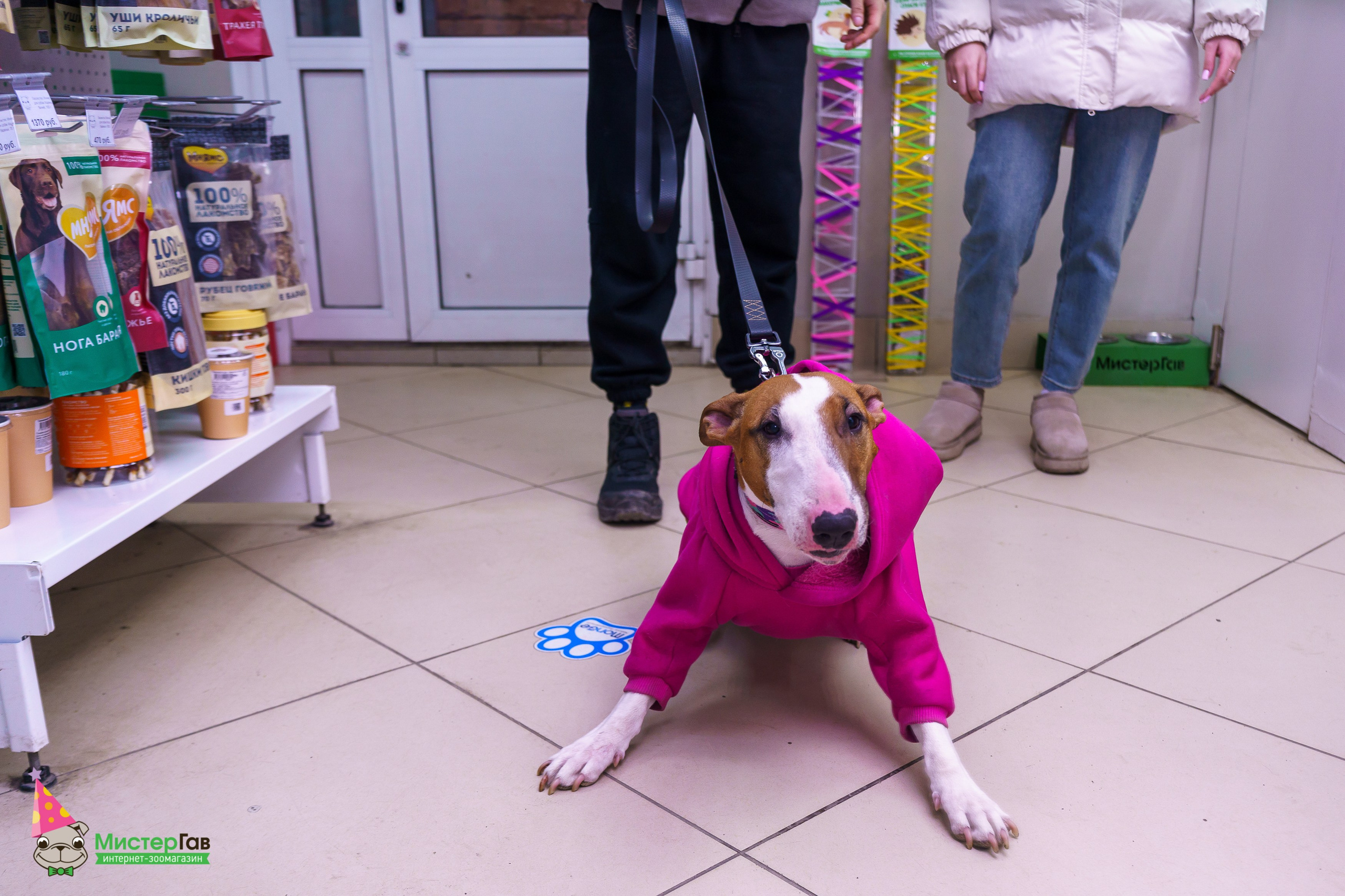 Мистер Гав -13 лет!. Фотограф Челябинск · Ольга Серебрякова